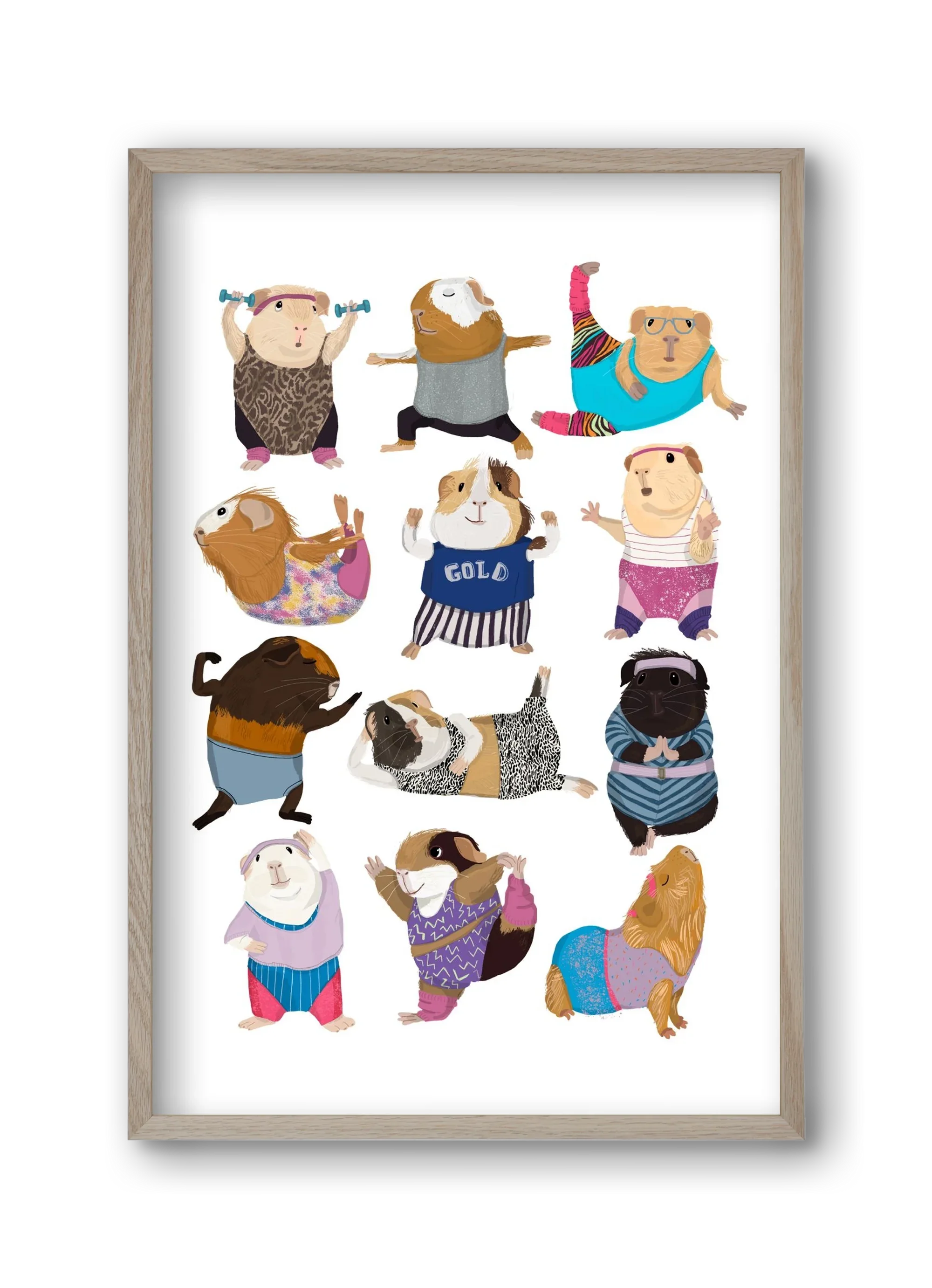 Guinea Pigs doing Aerobic - artbridge