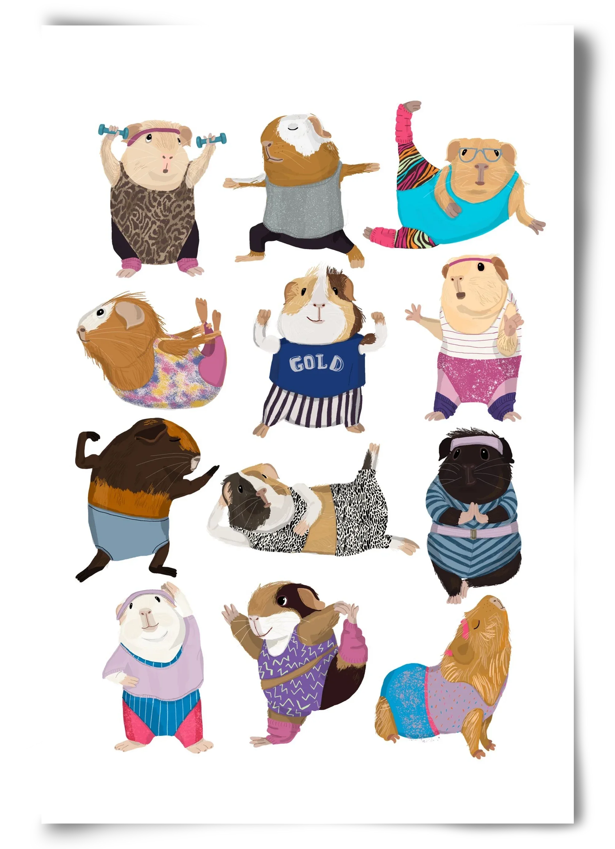 Guinea Pigs doing Aerobic - artbridge