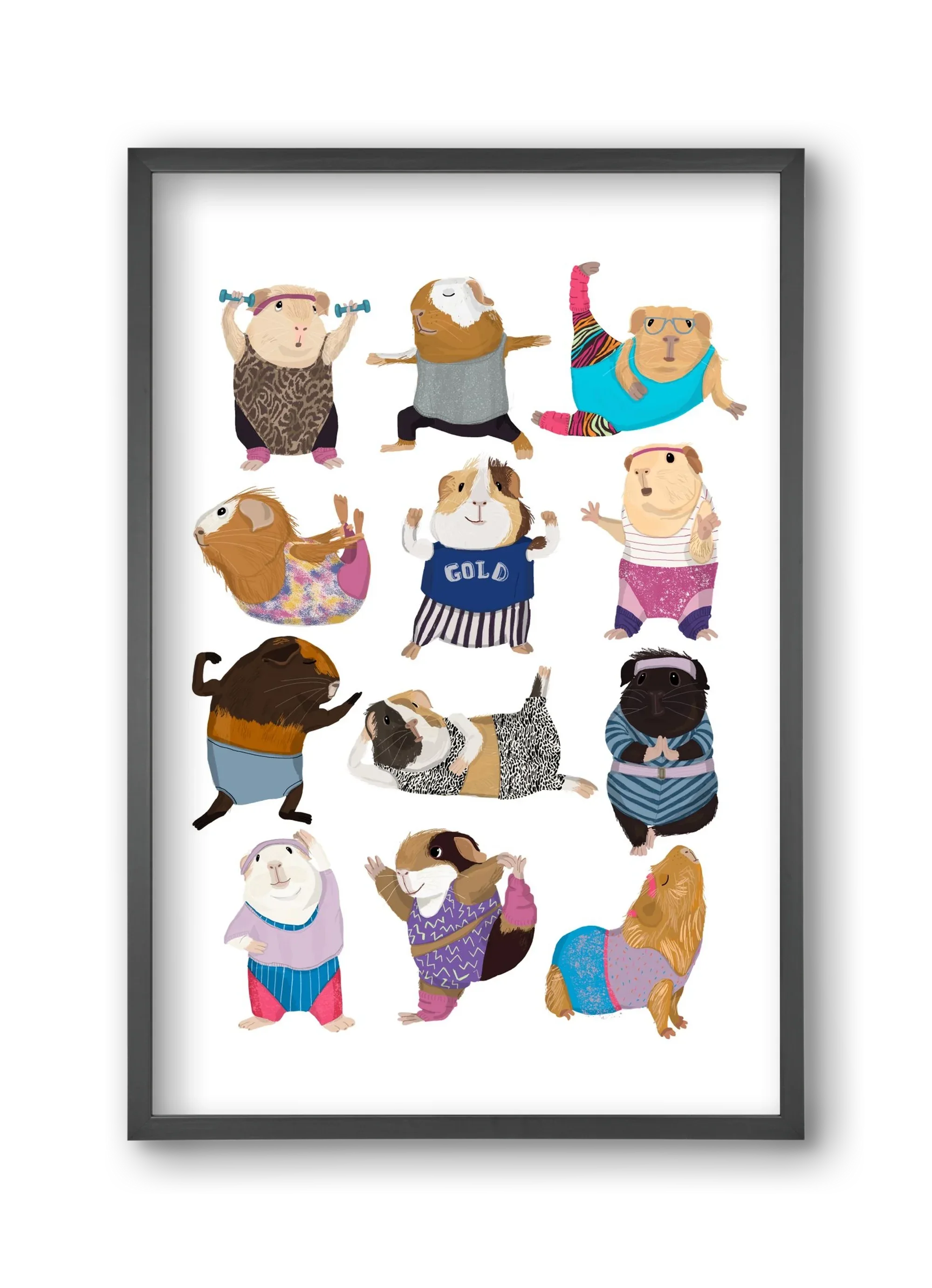 Guinea Pigs doing Aerobic - artbridge