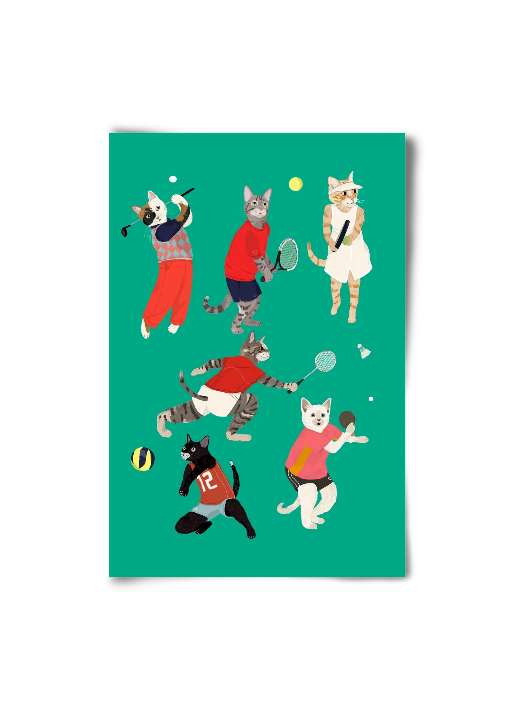 Cats doing ballsport - artbridge