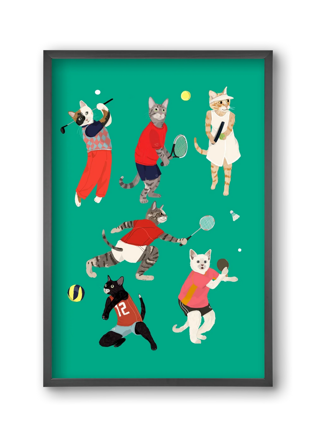 Cats doing ballsport - artbridge