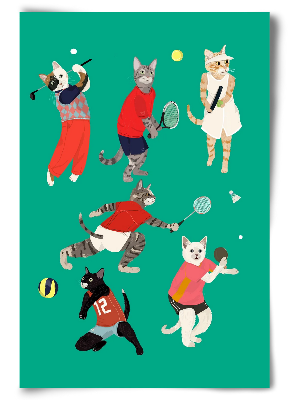 Cats doing ballsport - artbridge