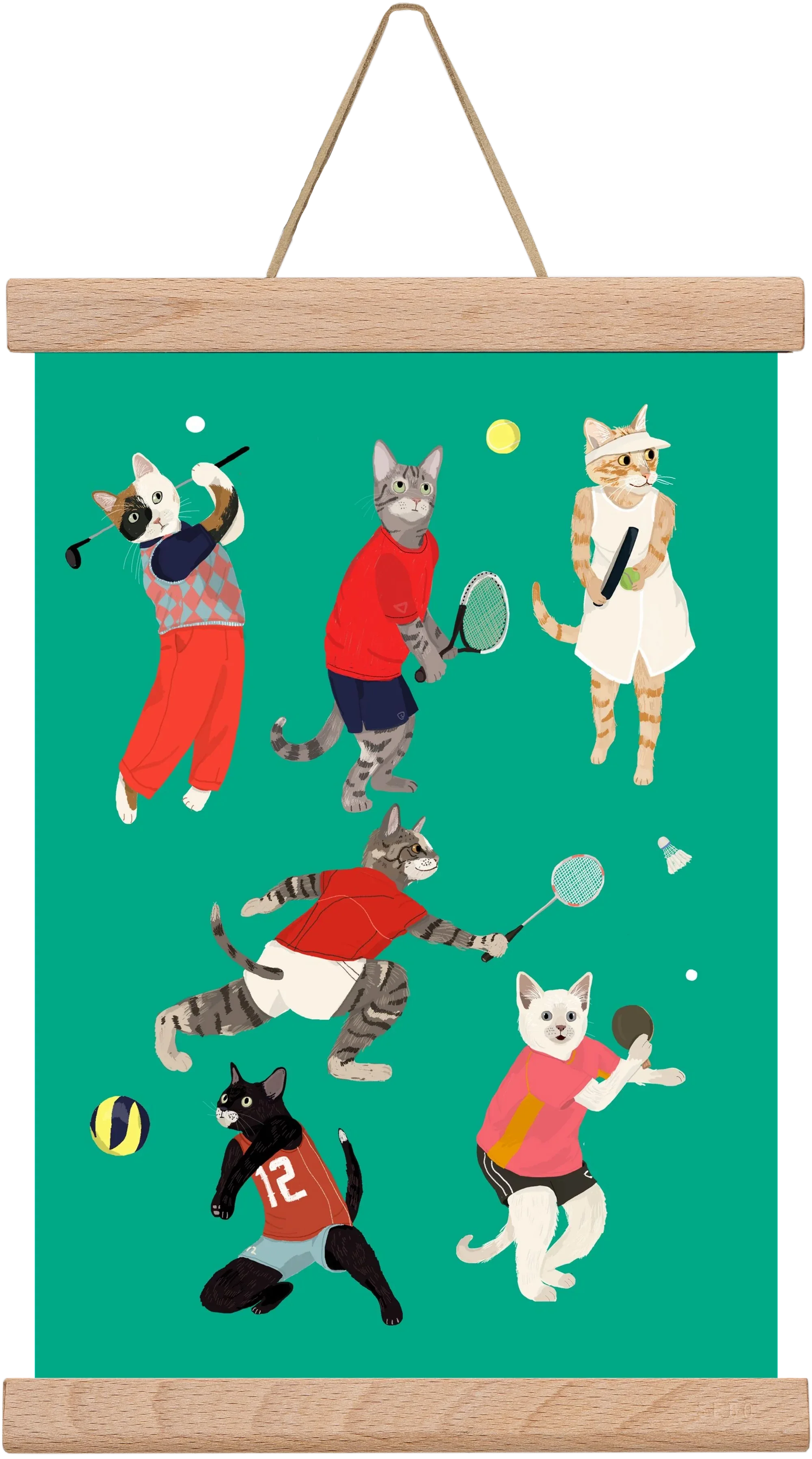 Cats doing ballsport - artbridge