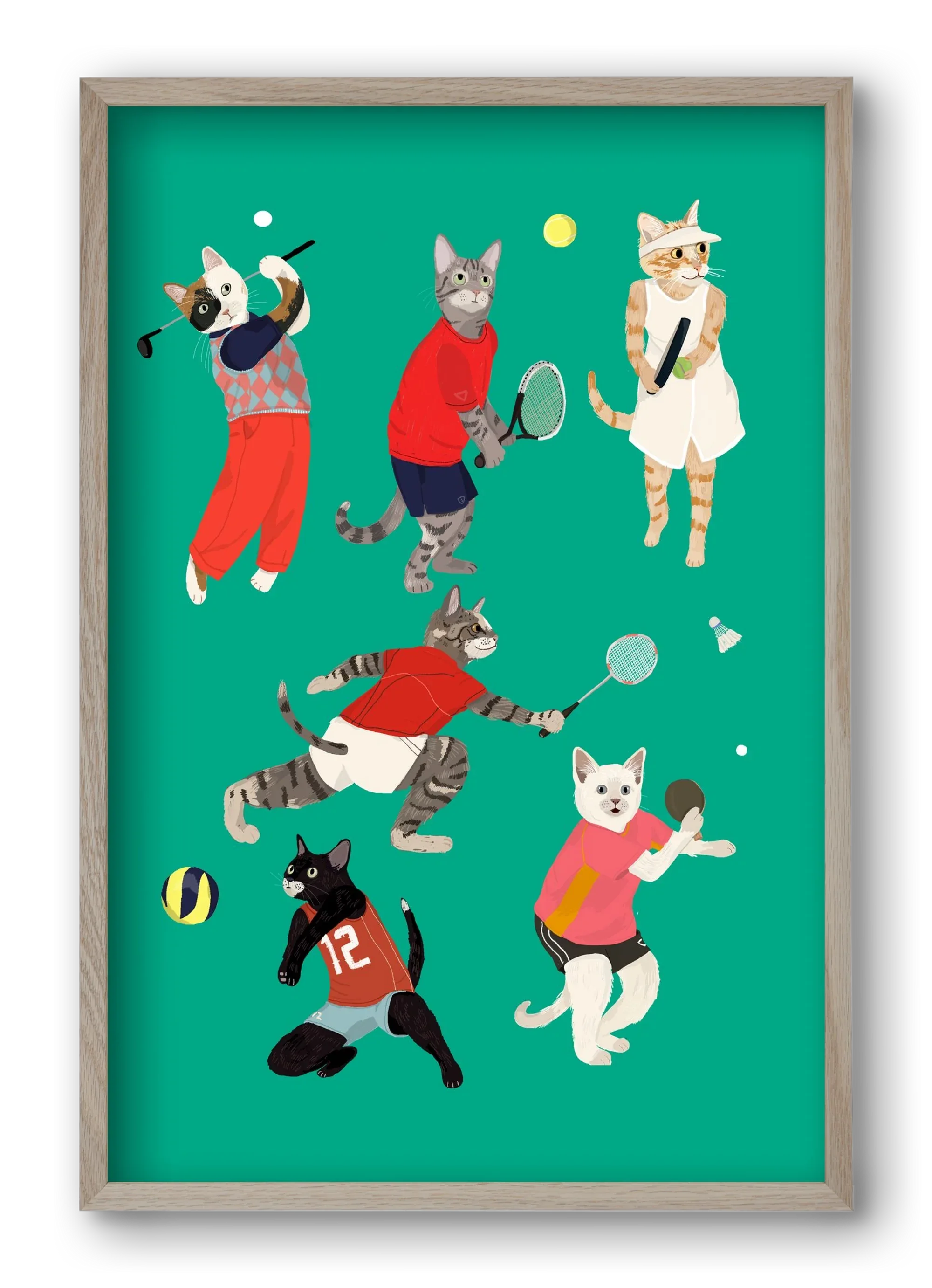 Cats doing ballsport - artbridge