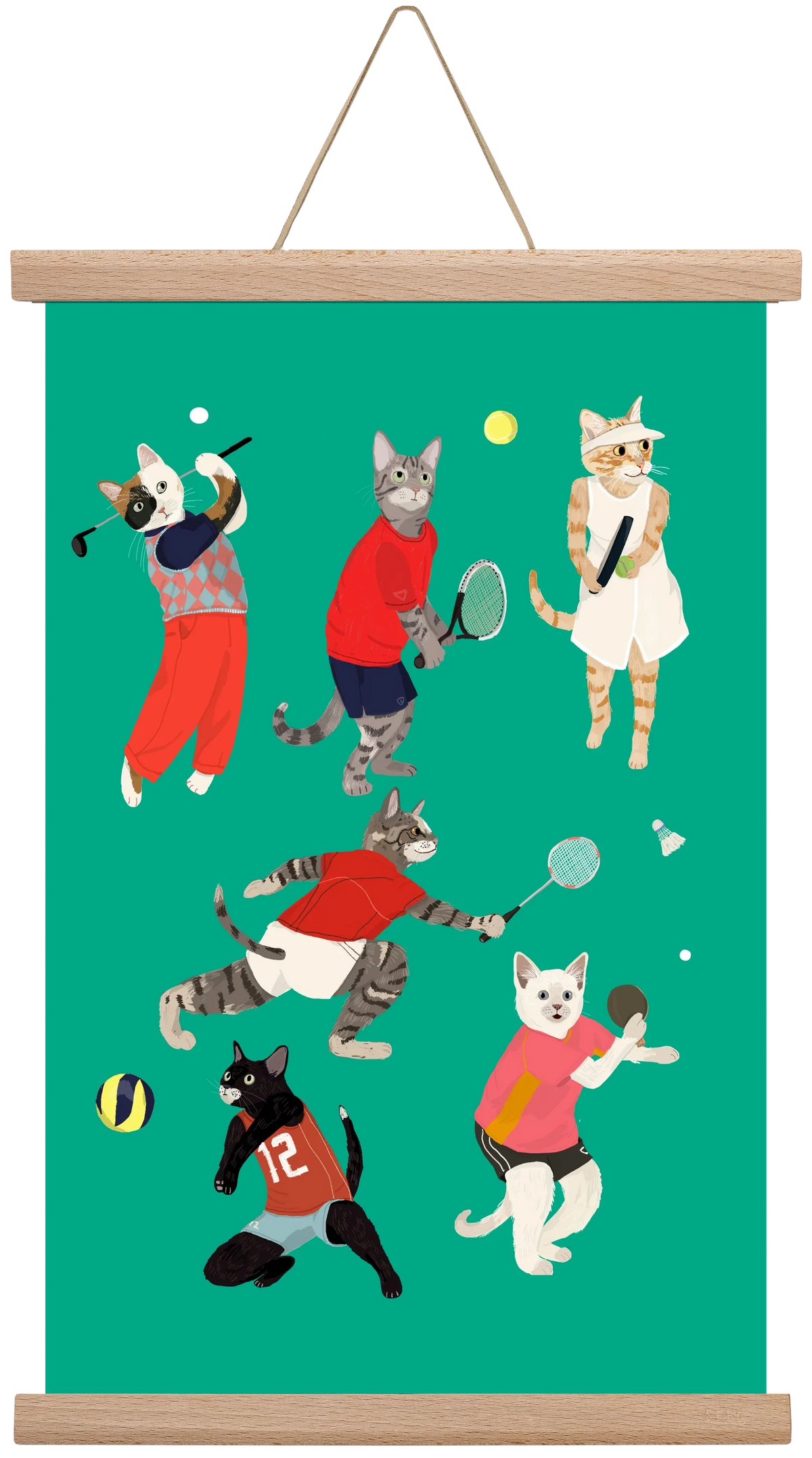 Cats doing ballsport - artbridge