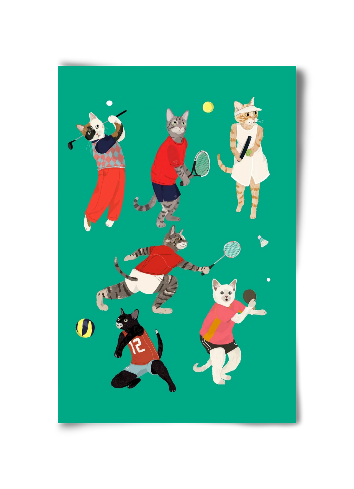 Cats doing ballsport - artbridge