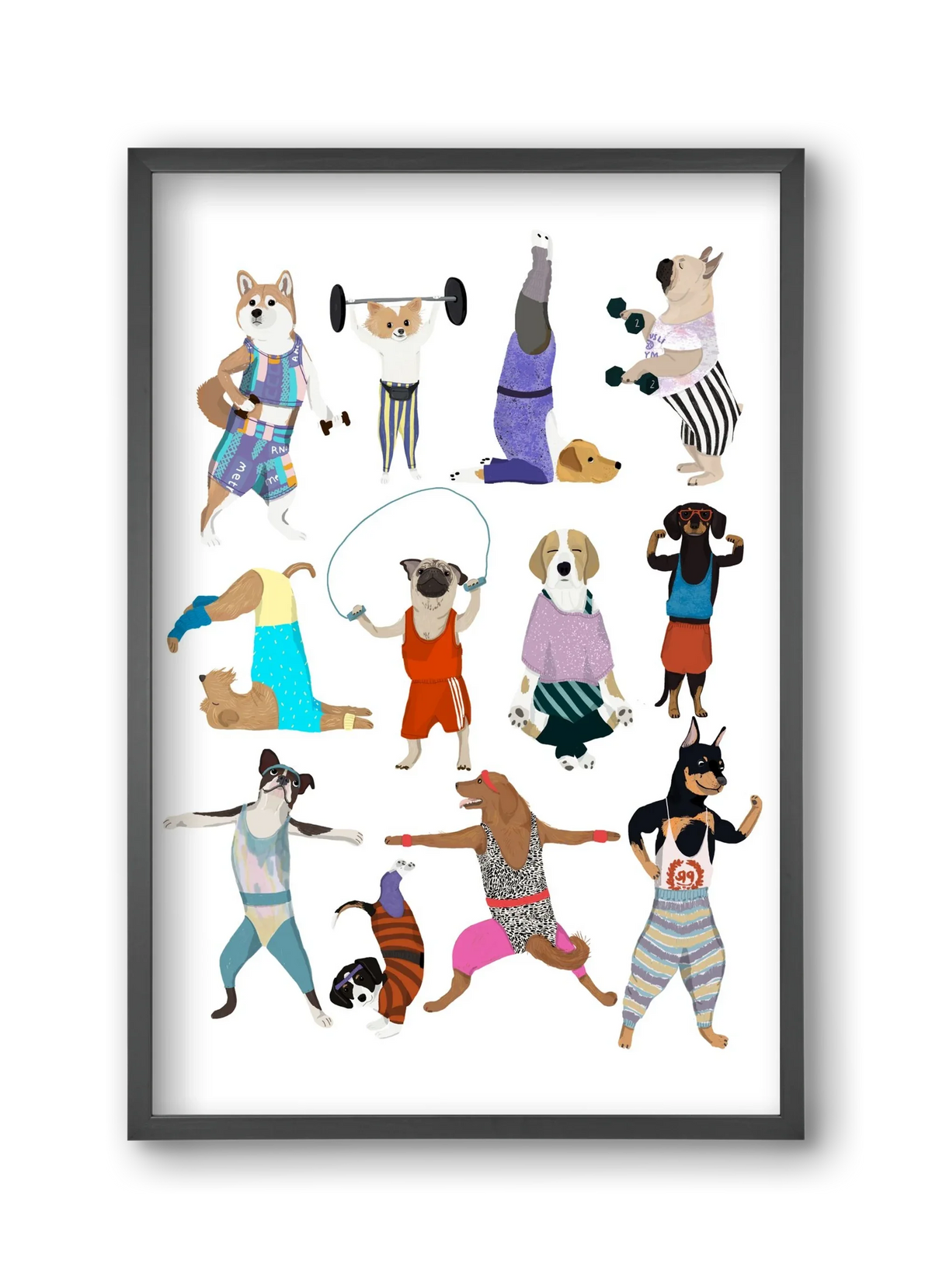 Dogs at the gym - artbridge