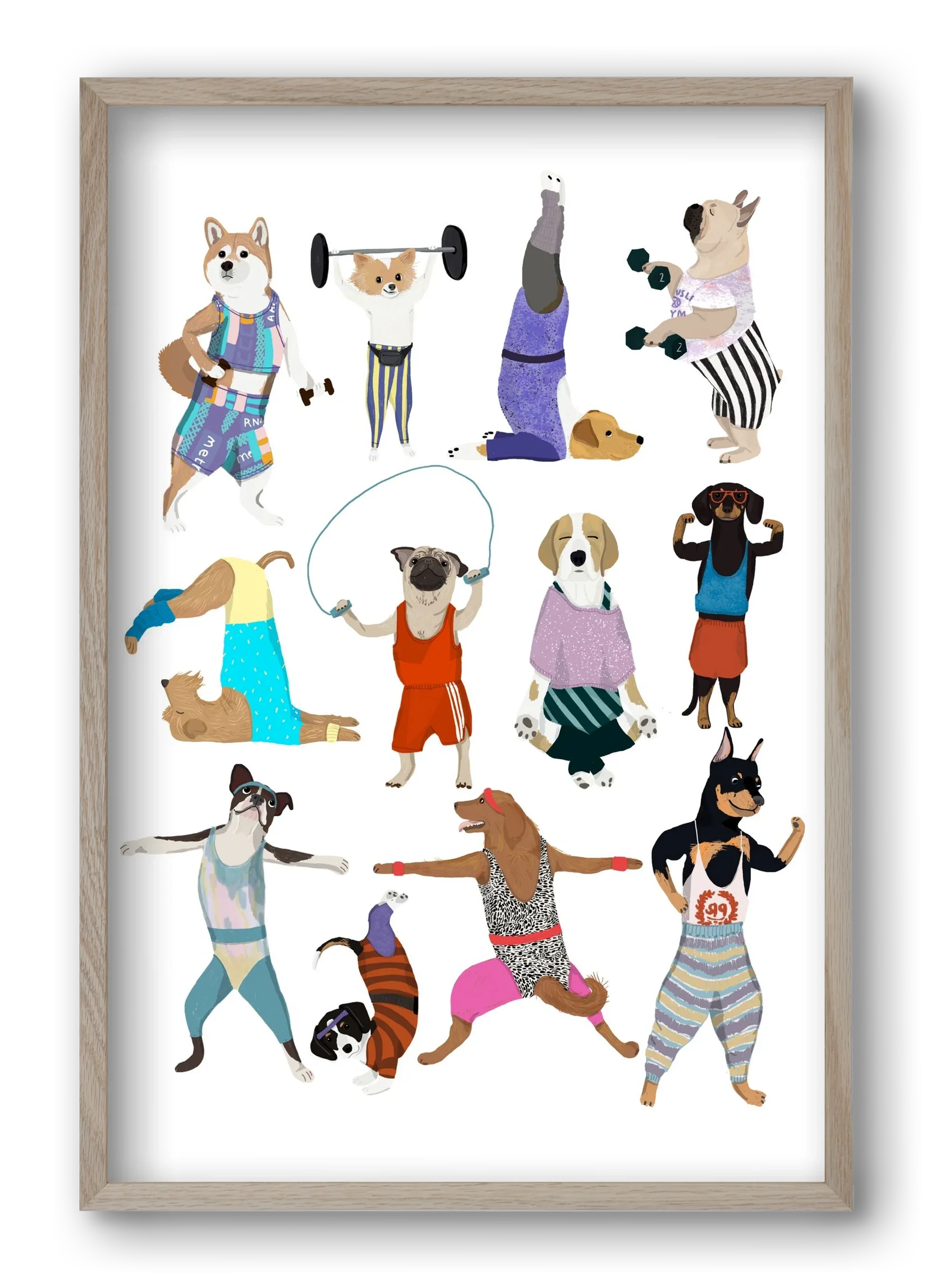 Dogs at the gym - artbridge