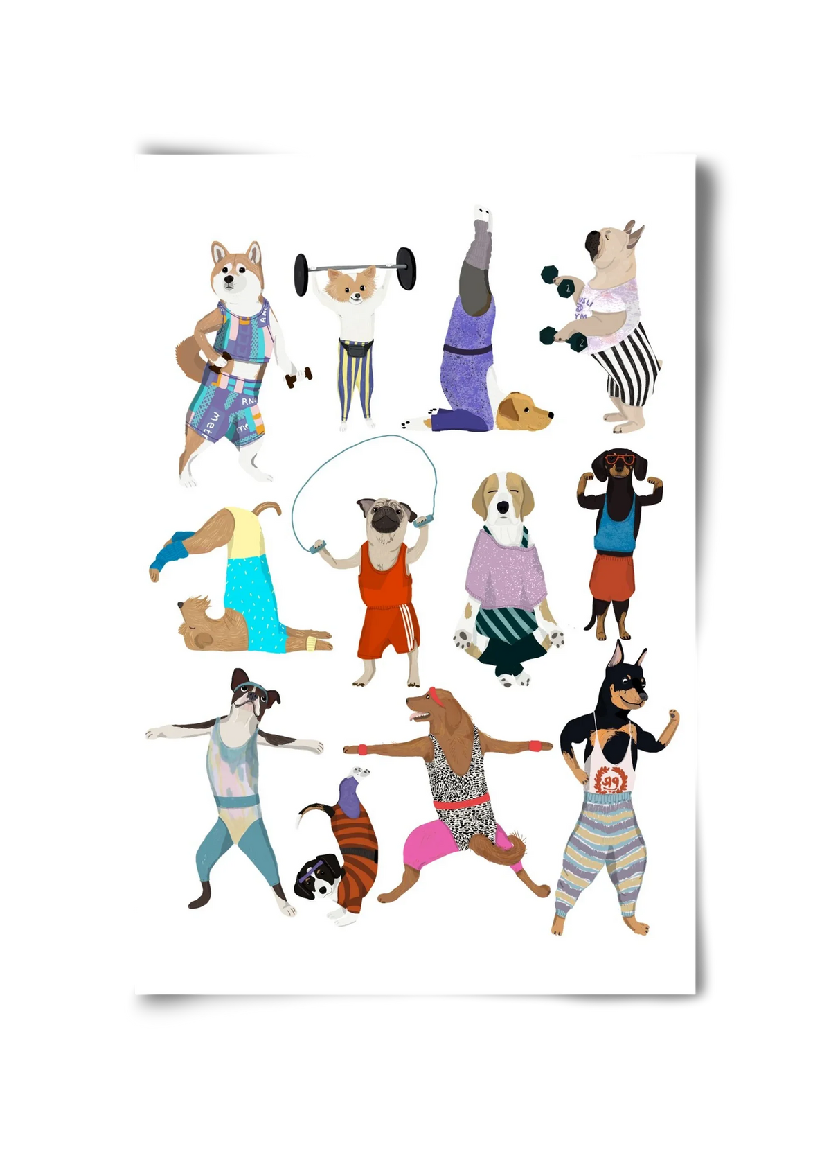Dogs at the gym - artbridge