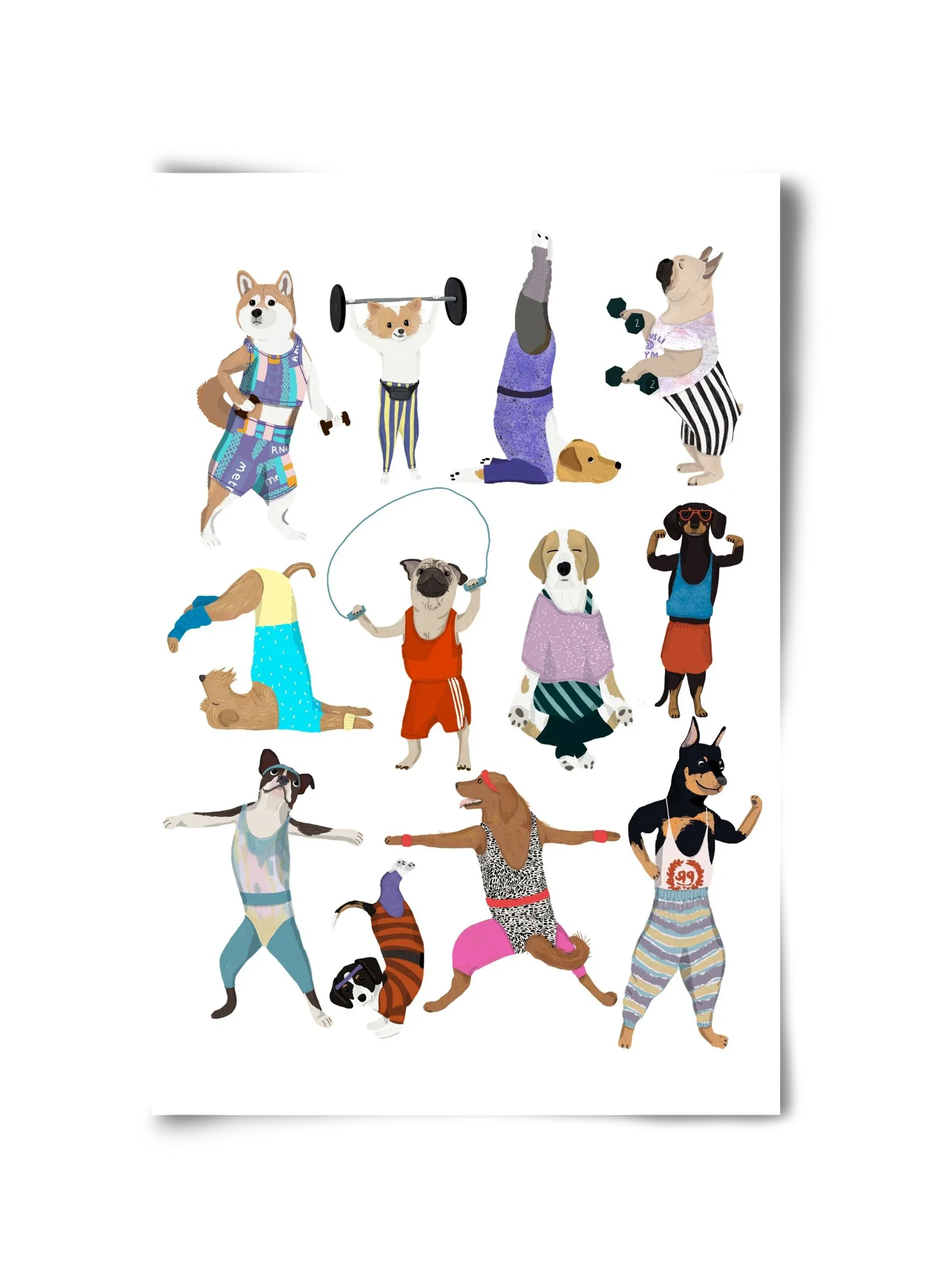 Dogs at the gym - artbridge