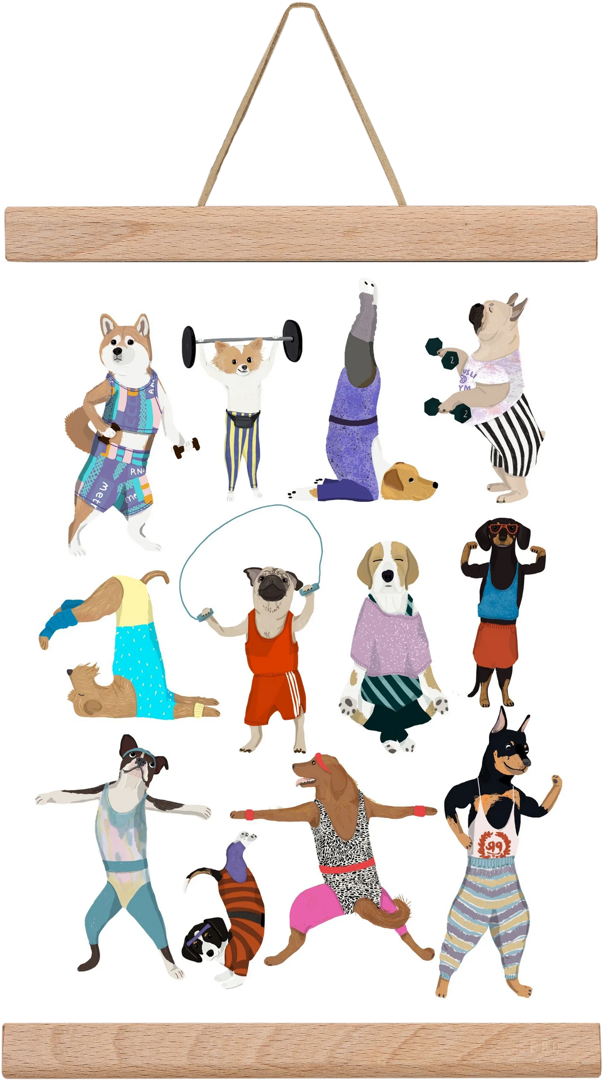 Dogs at the gym - artbridge