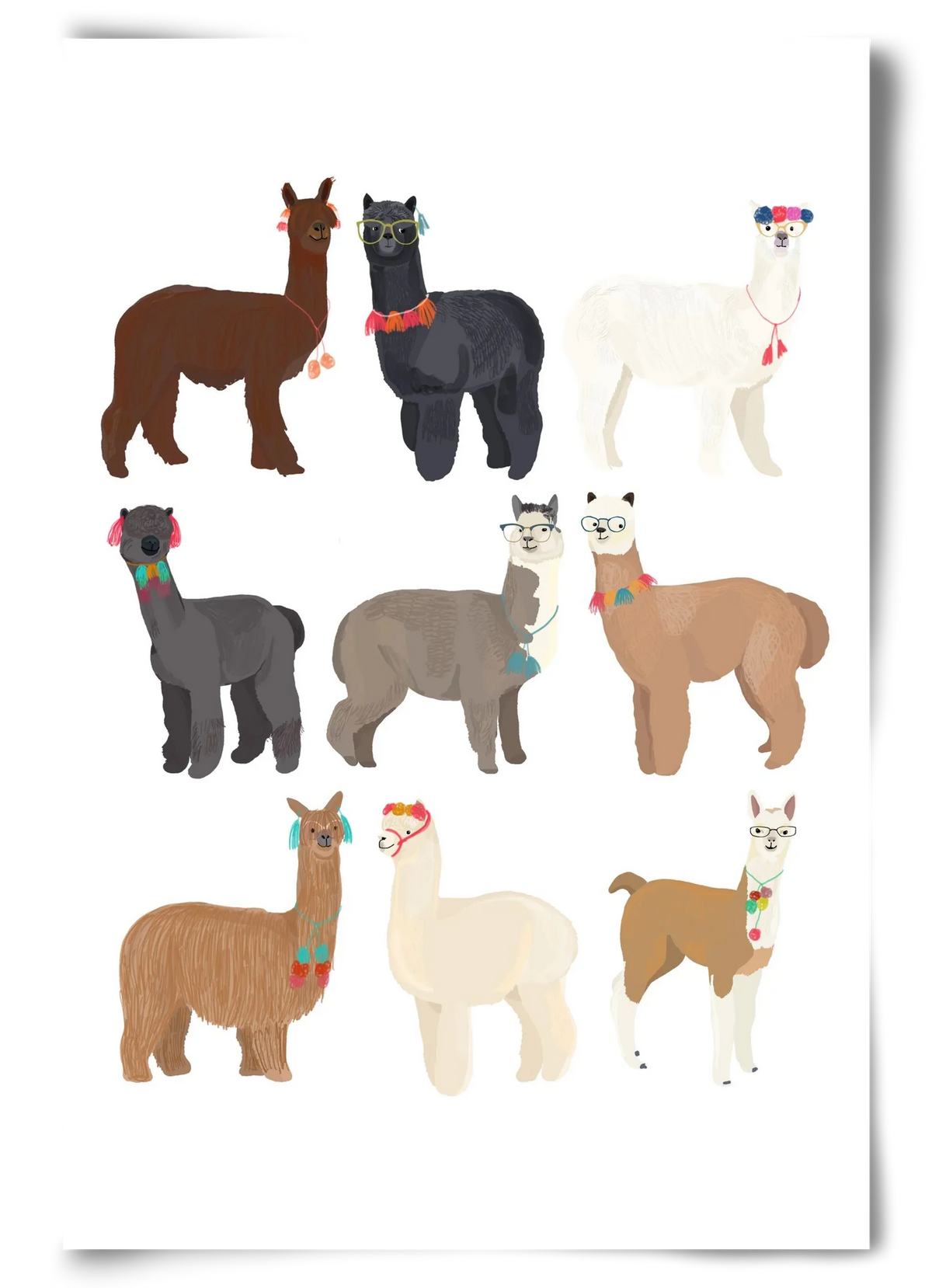 Standin Llama Print - artbridge