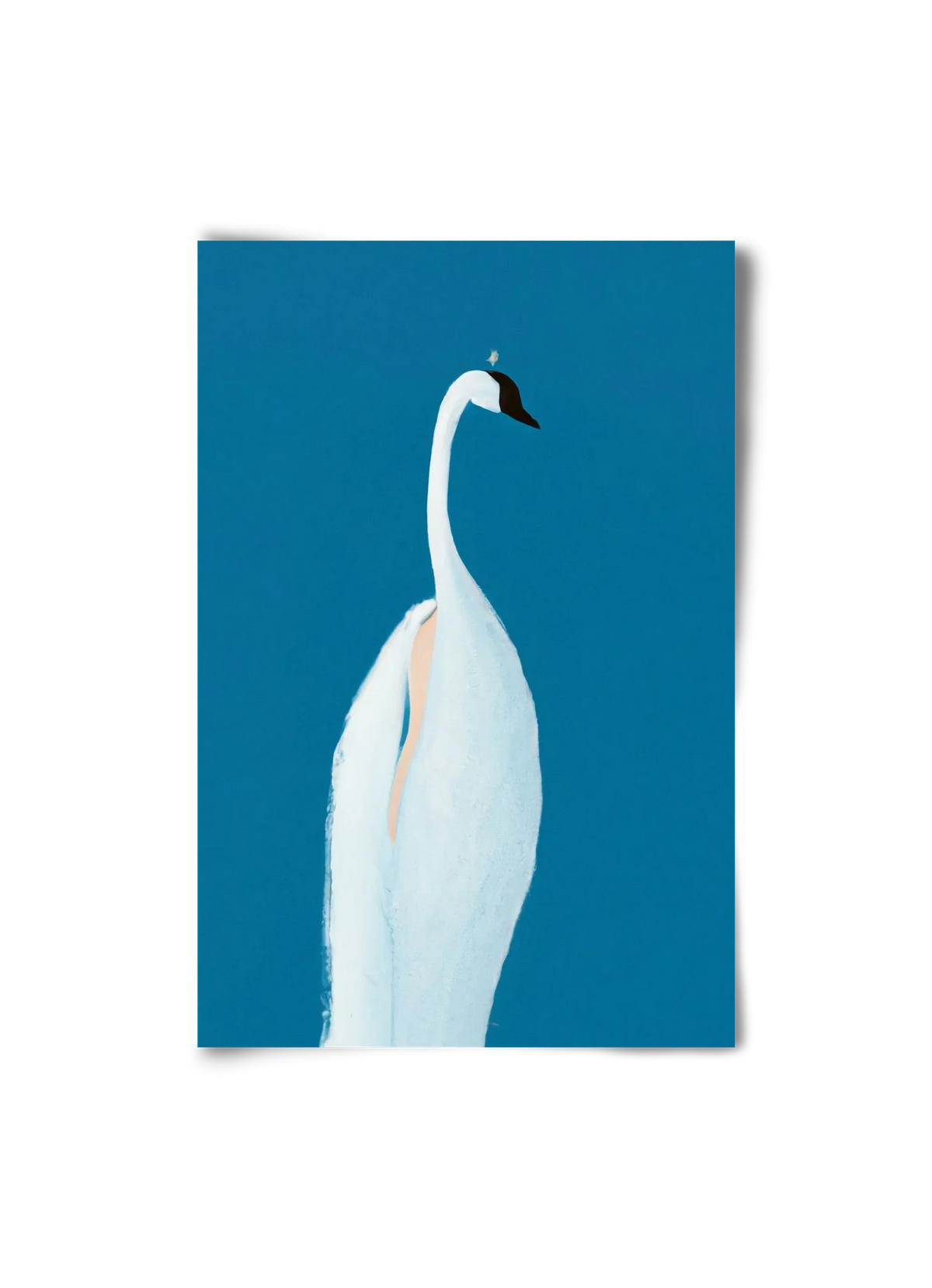 Swan maybe - artbridge