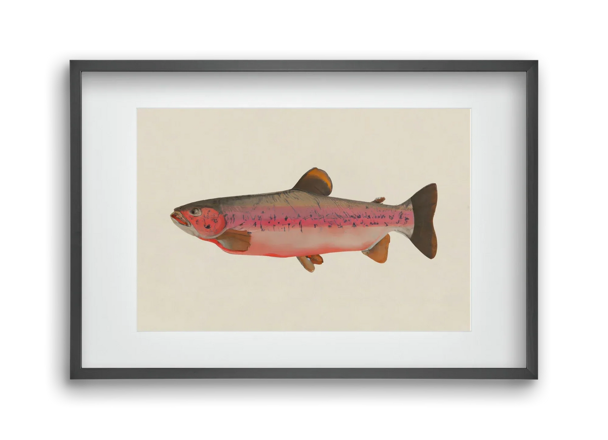 Fishy - artbridge