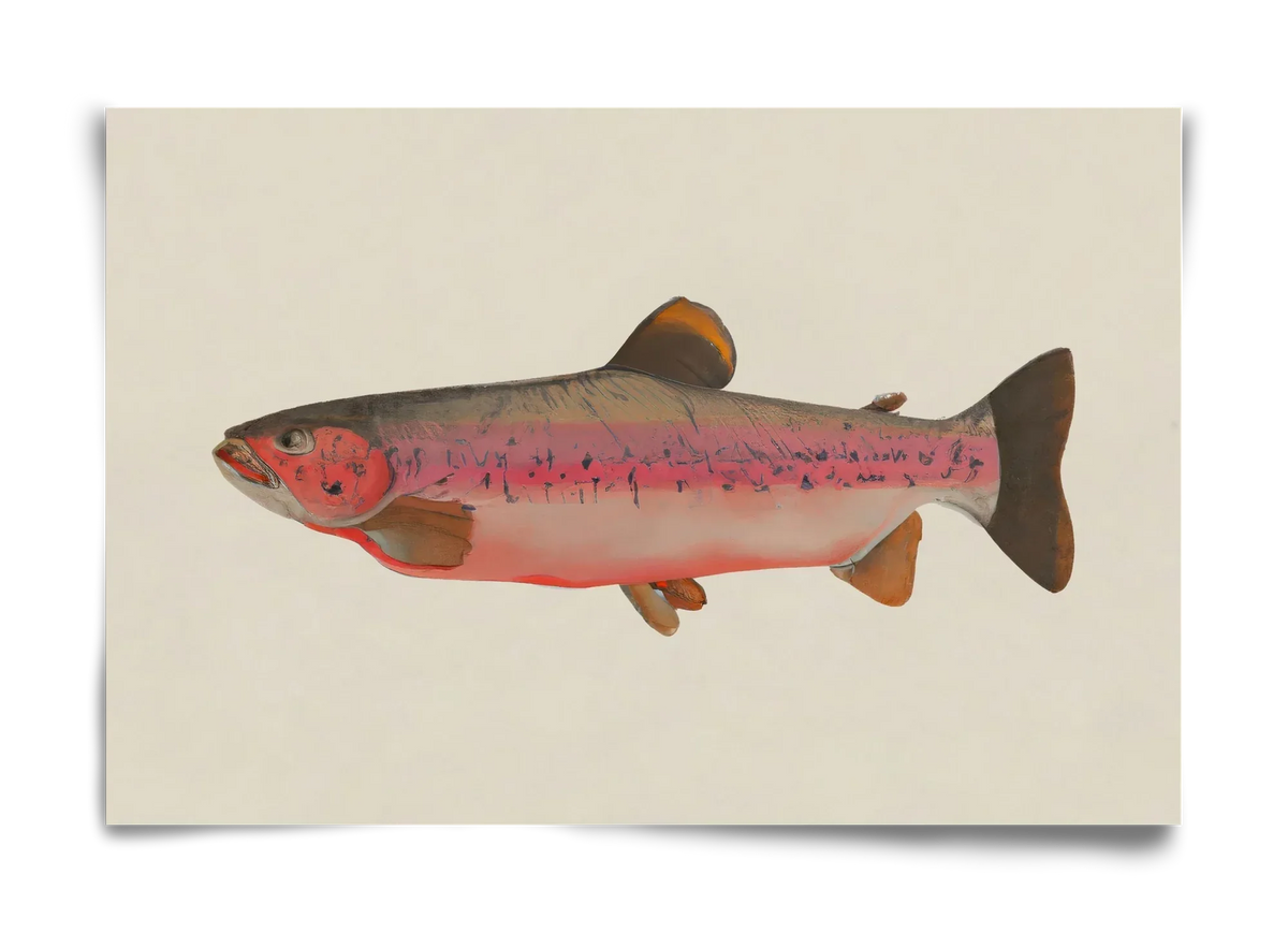 Fishy - artbridge