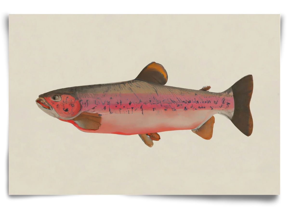 Fishy - artbridge