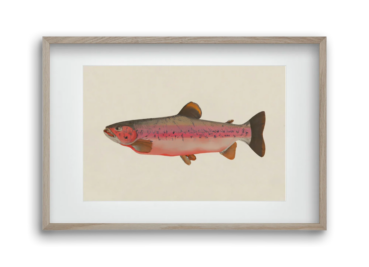 Fishy - artbridge