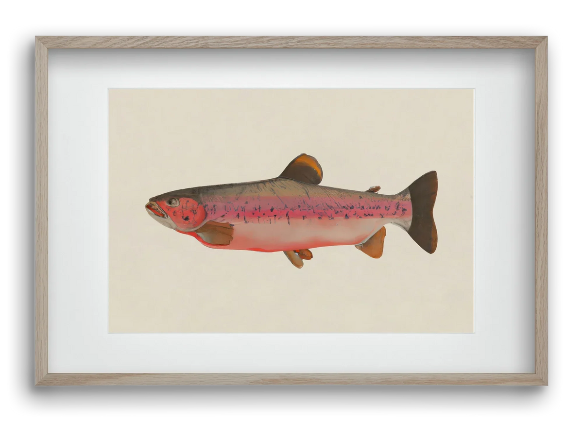 Fishy - artbridge