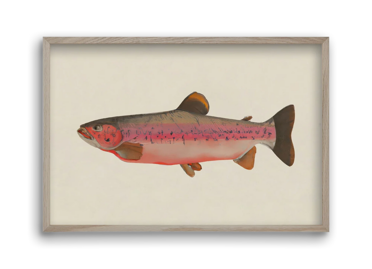 Fishy - artbridge