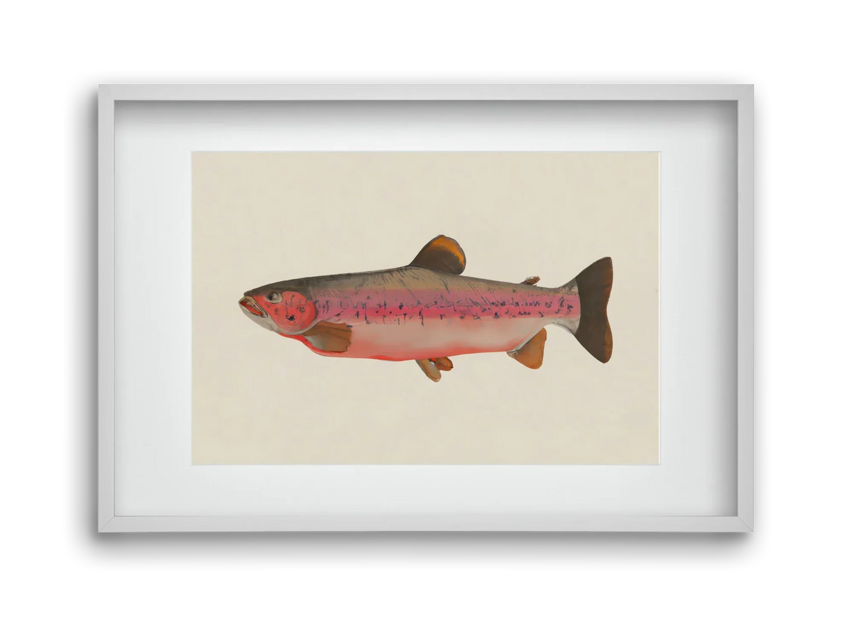 Fishy - artbridge