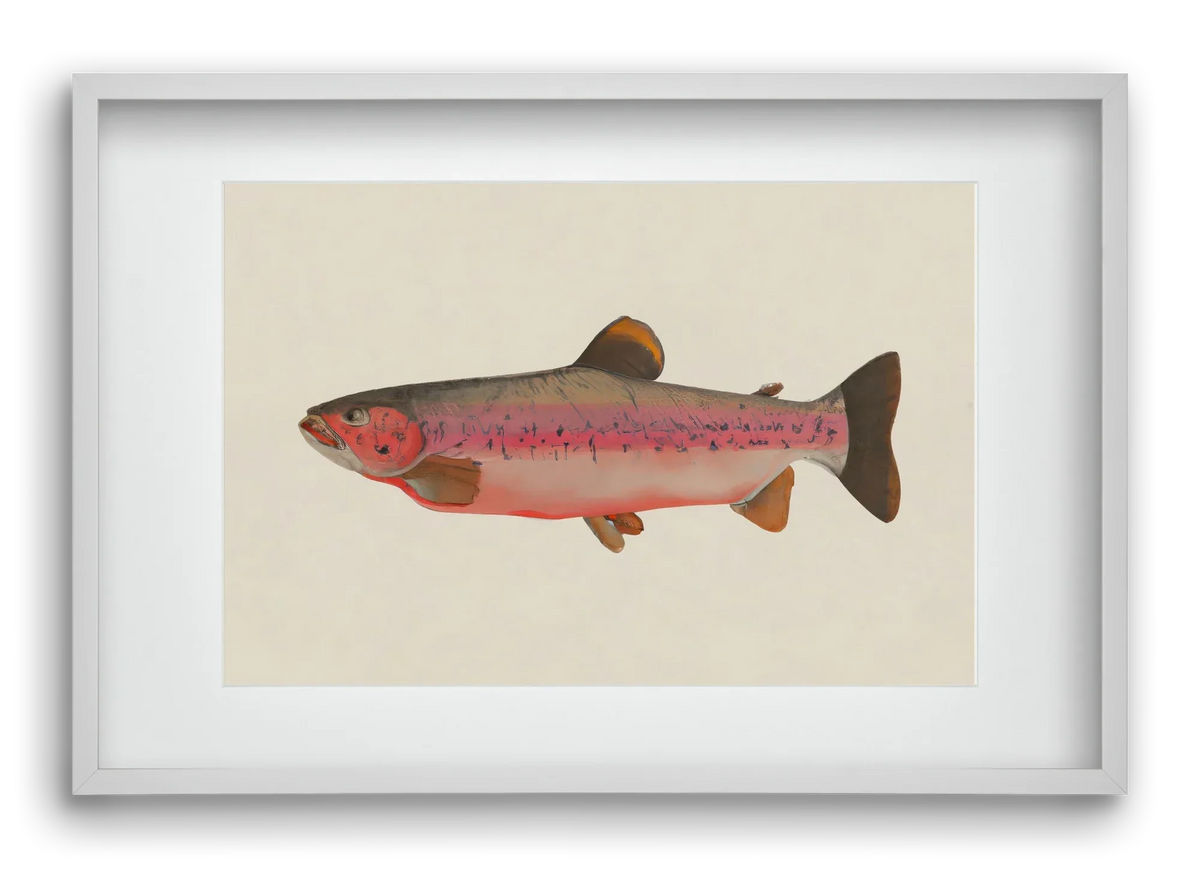 Fishy - artbridge