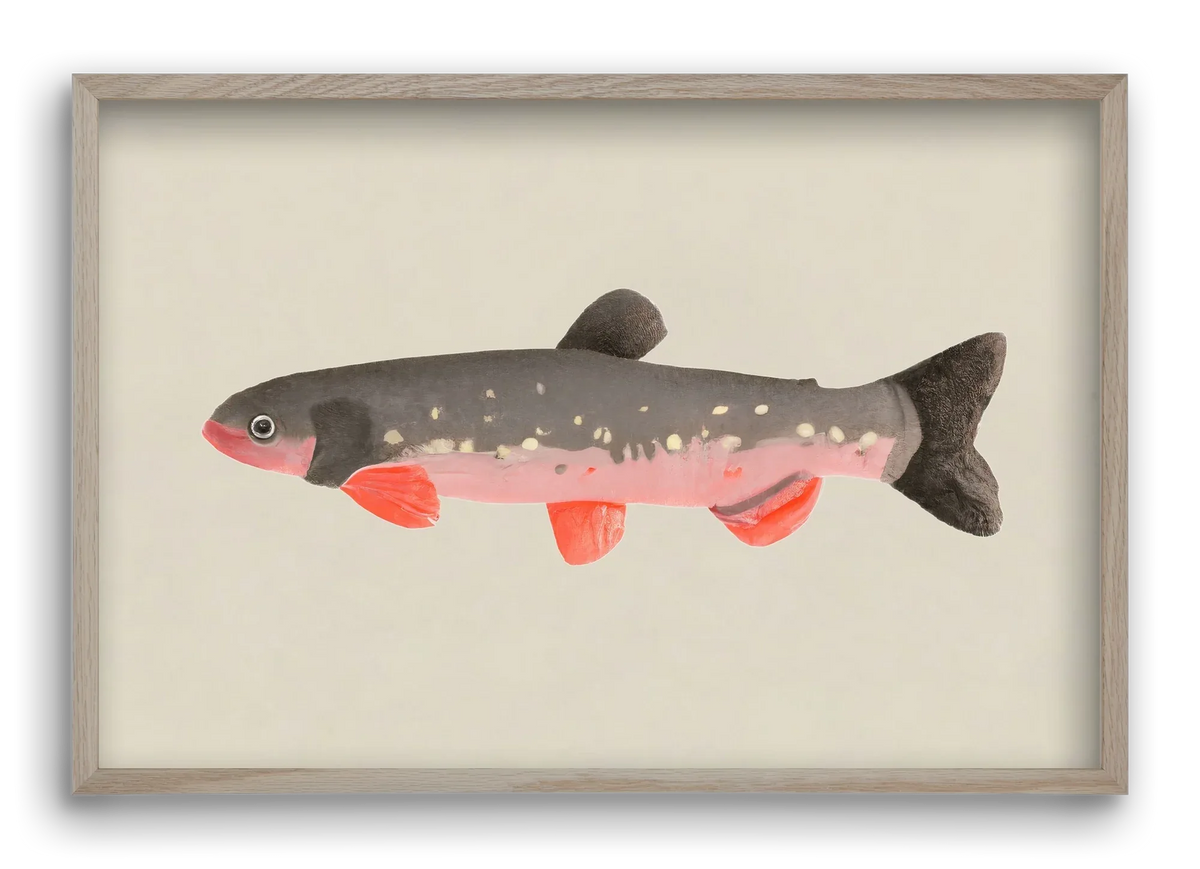 Still fishy - artbridge