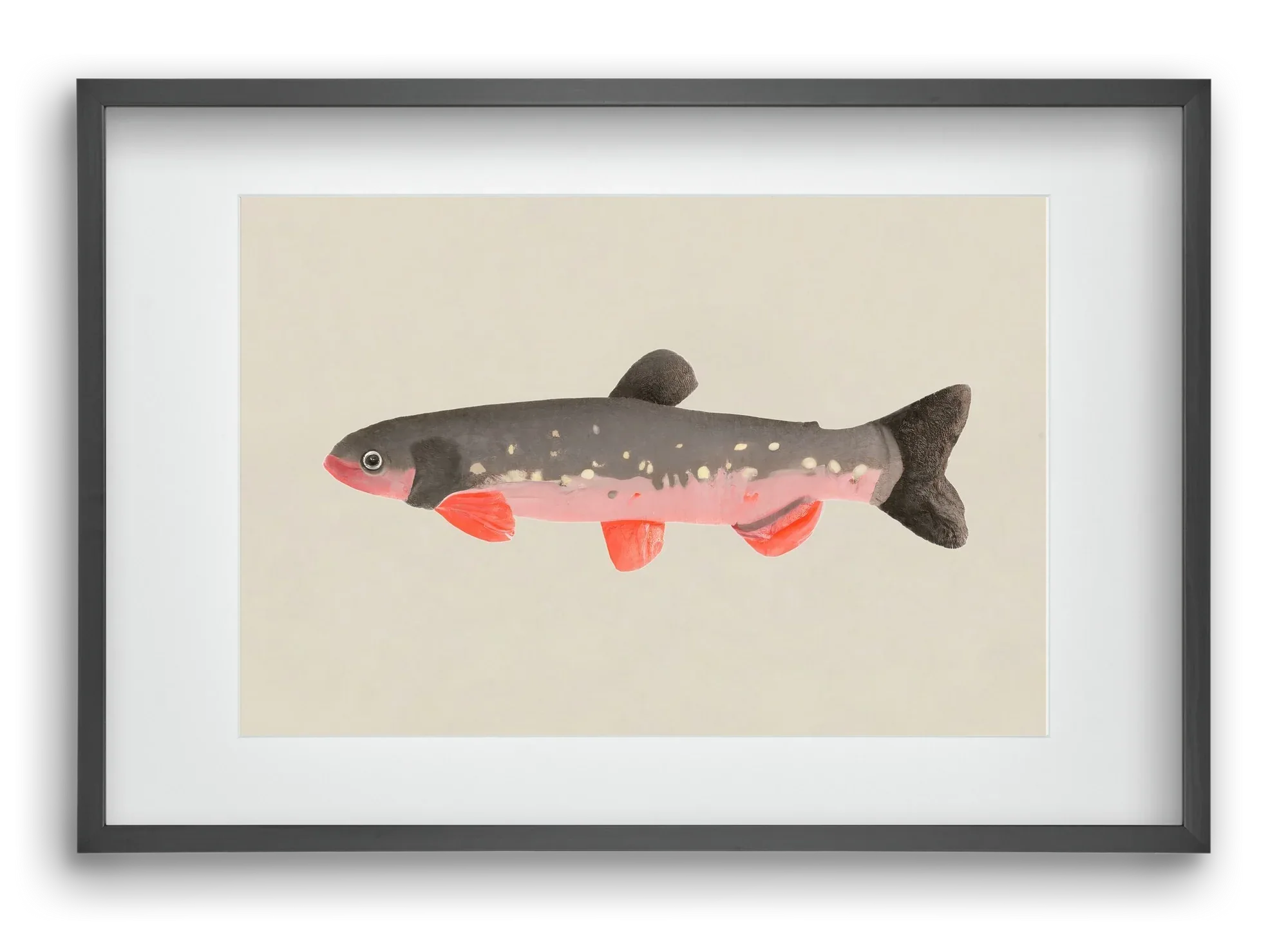 Still fishy - artbridge