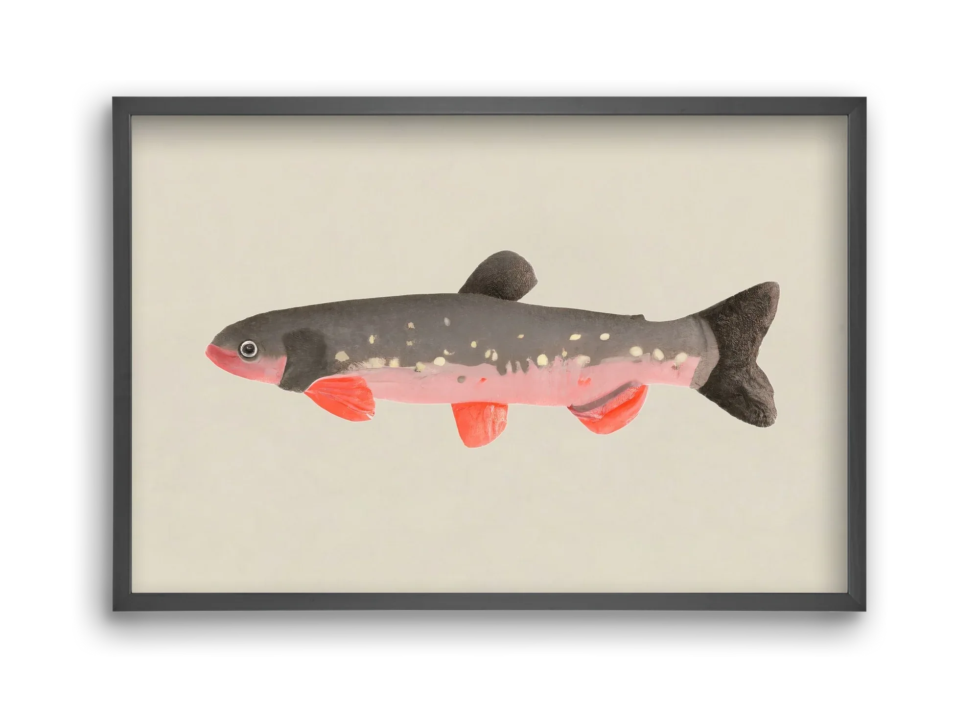 Still fishy - artbridge