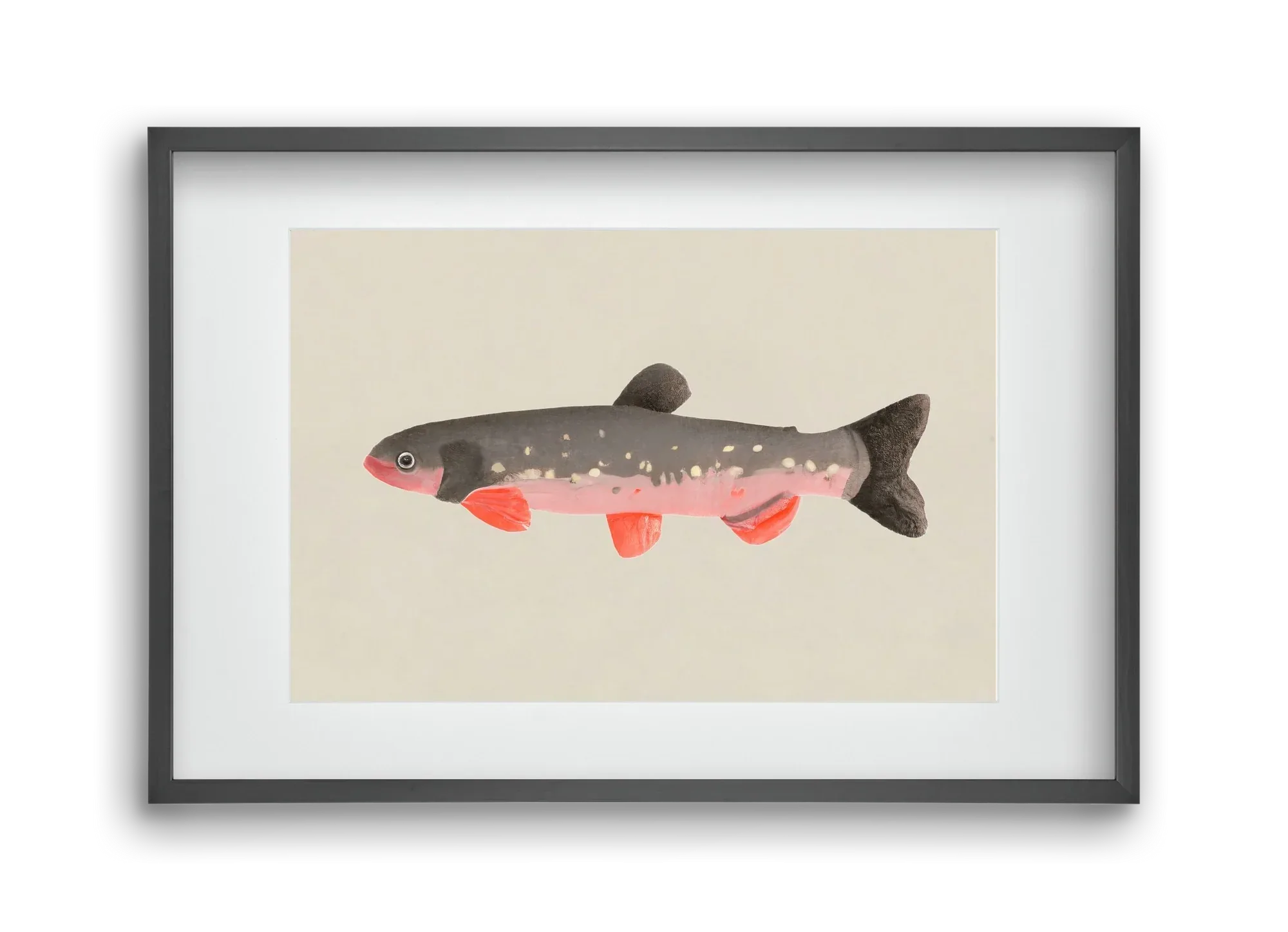 Still fishy - artbridge