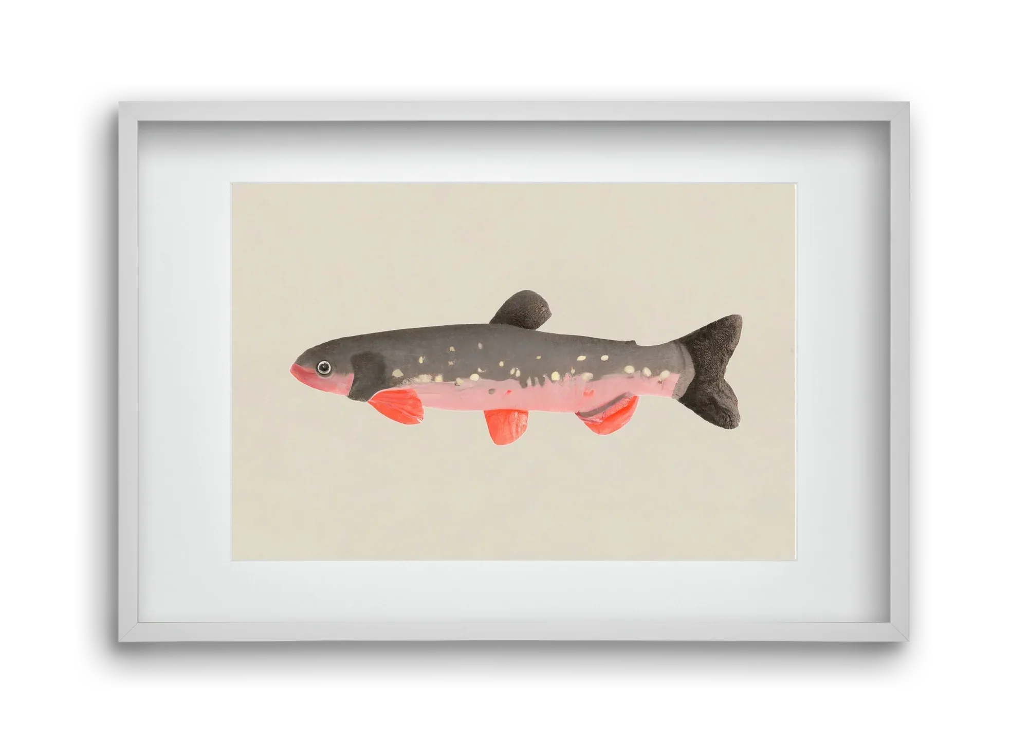 Still fishy - artbridge