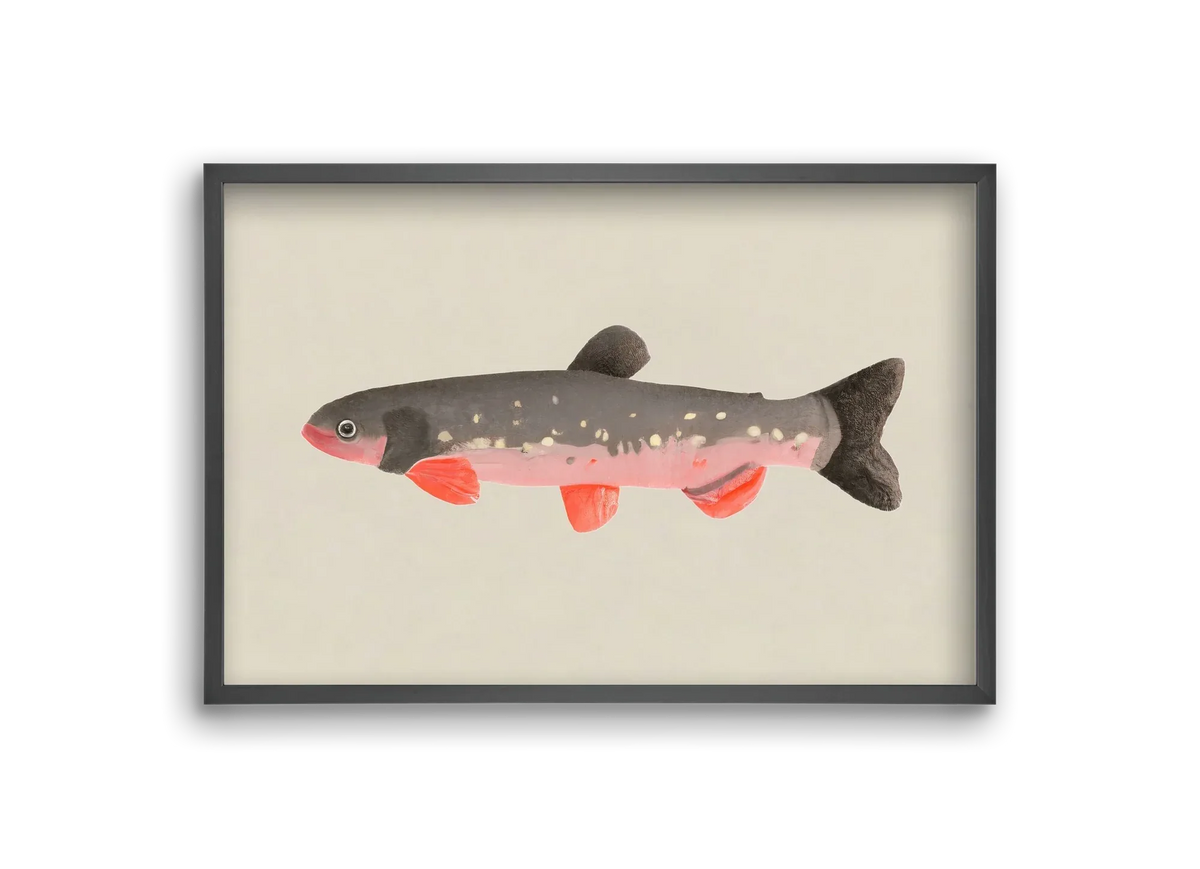 Still fishy - artbridge