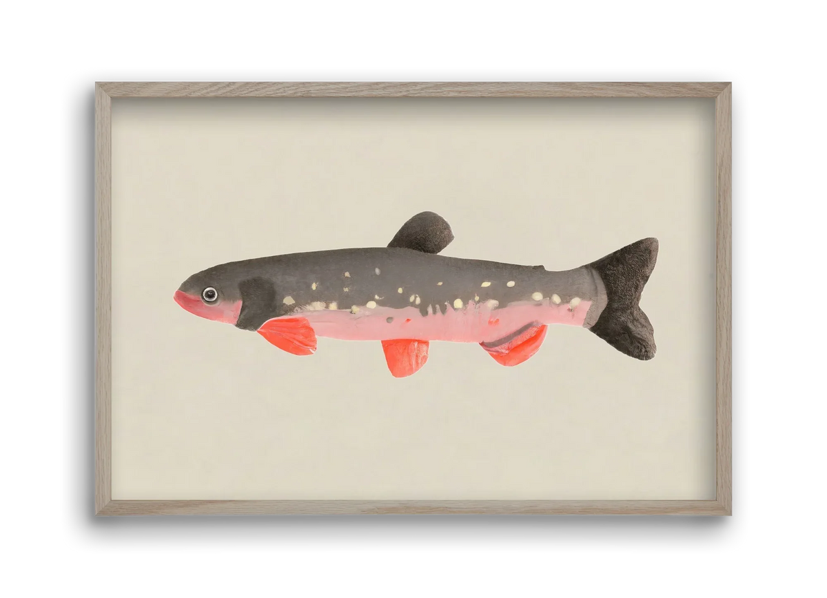 Still fishy - artbridge