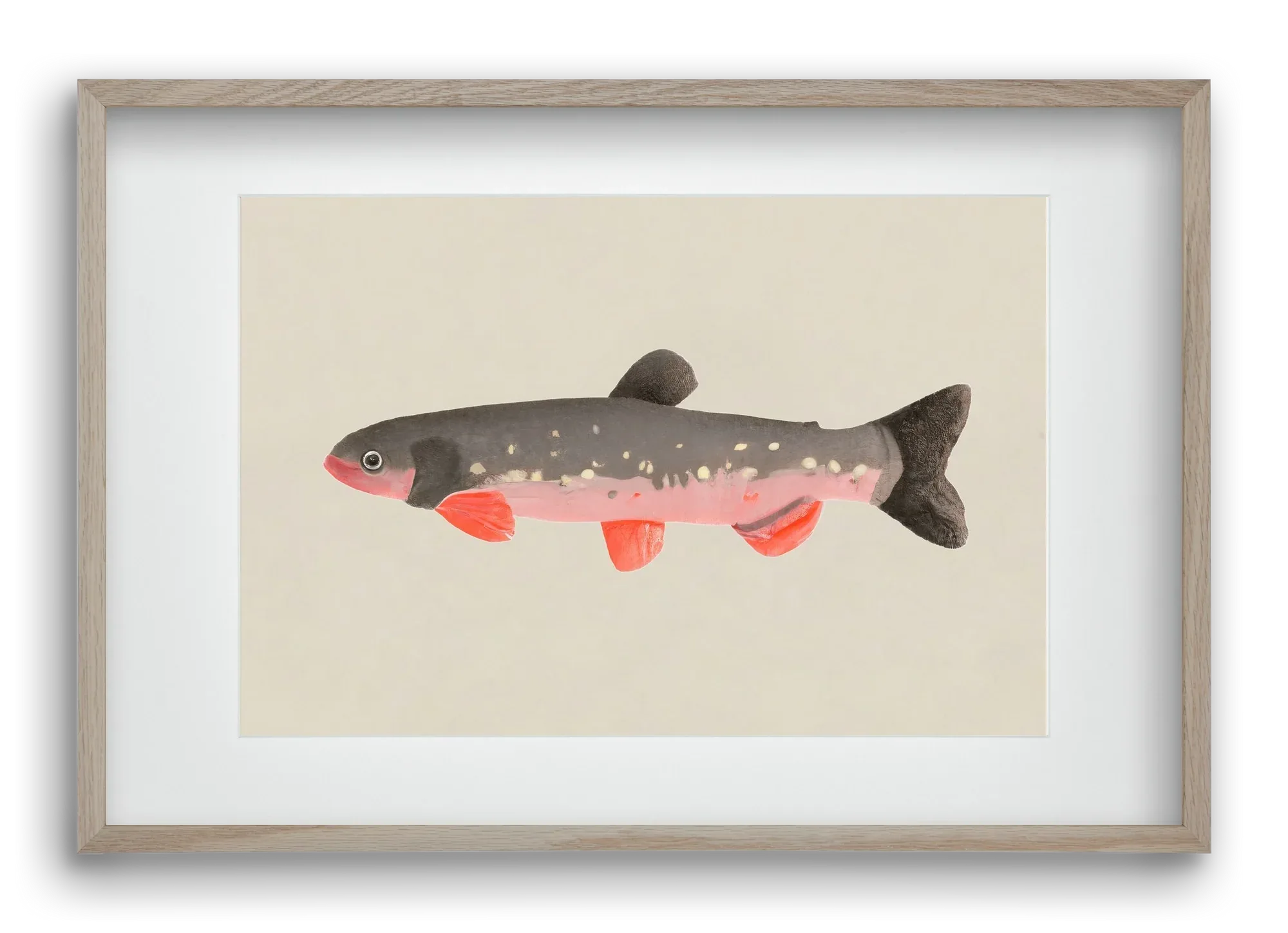 Still fishy - artbridge