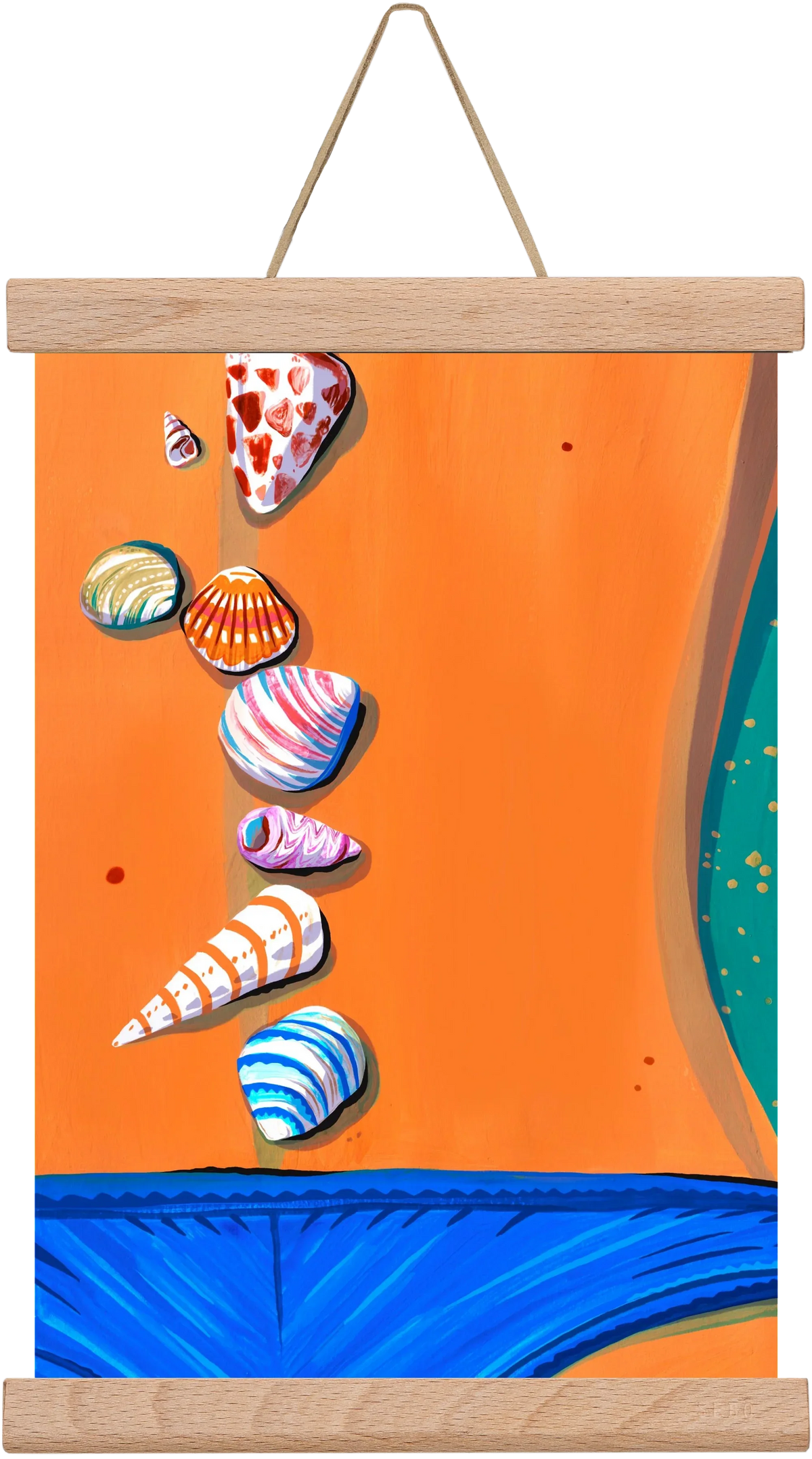 Shells - artbridge