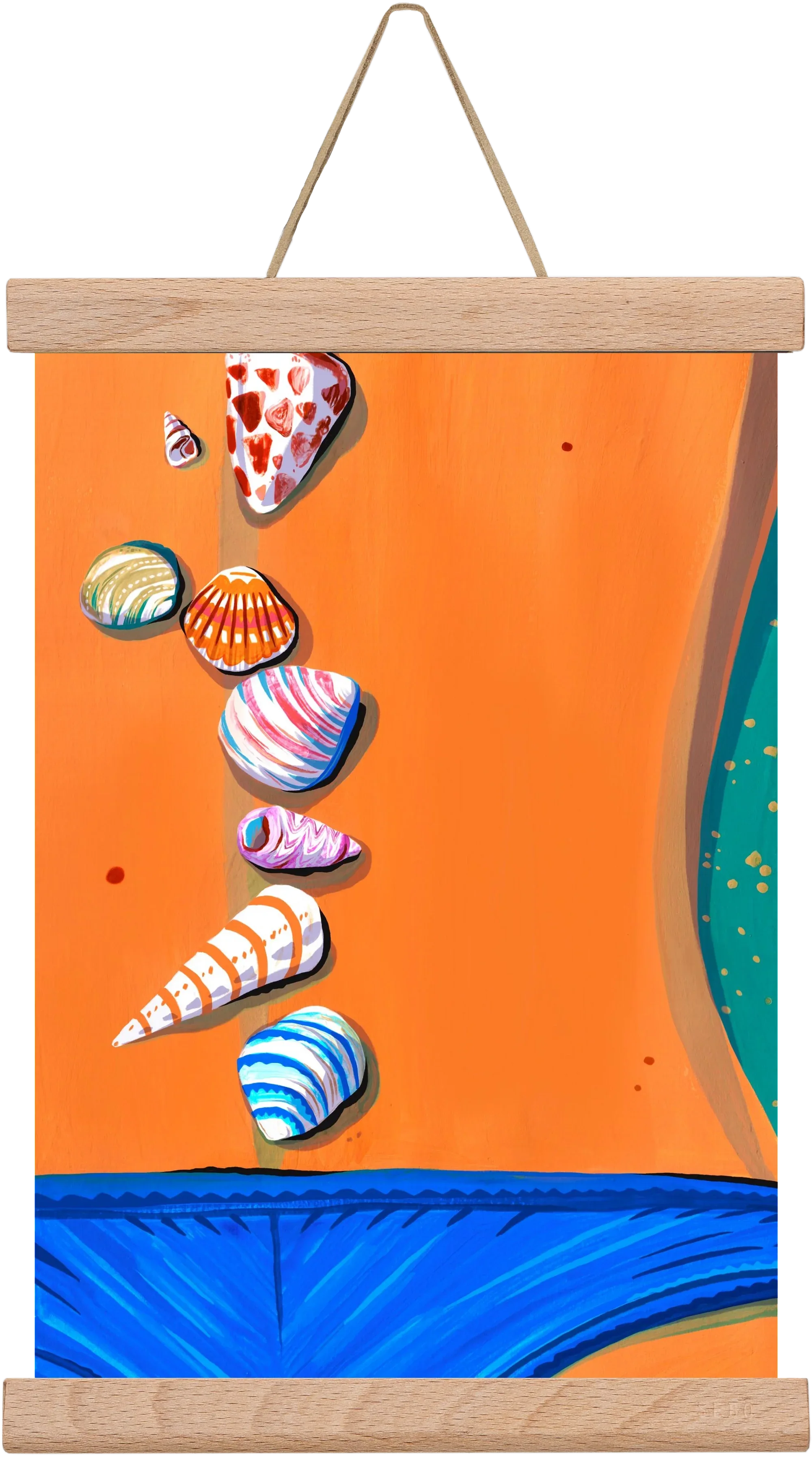 Shells - artbridge