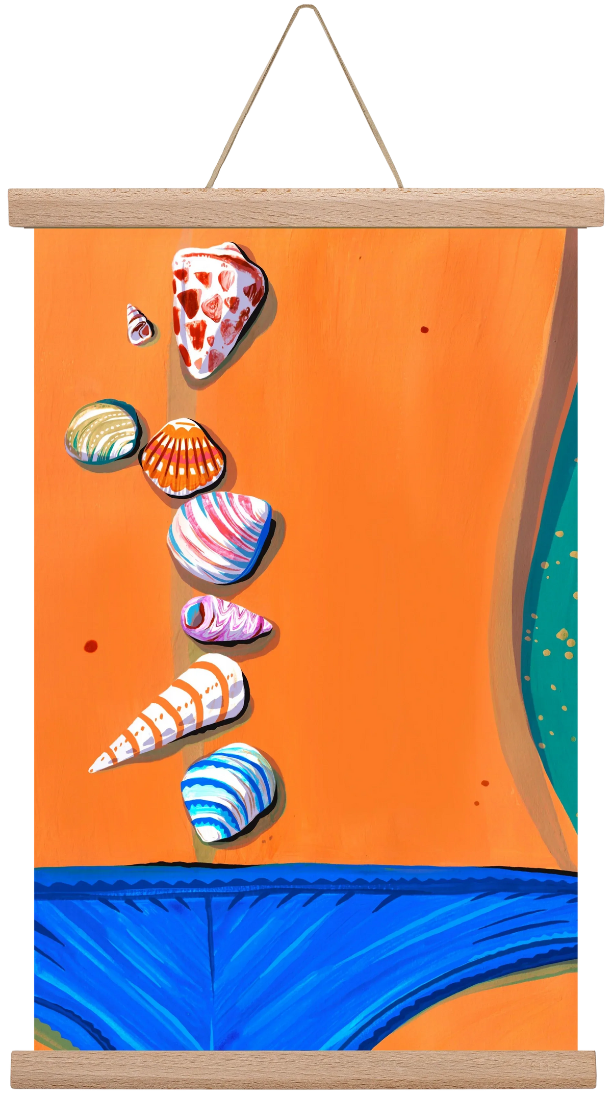 Shells - artbridge