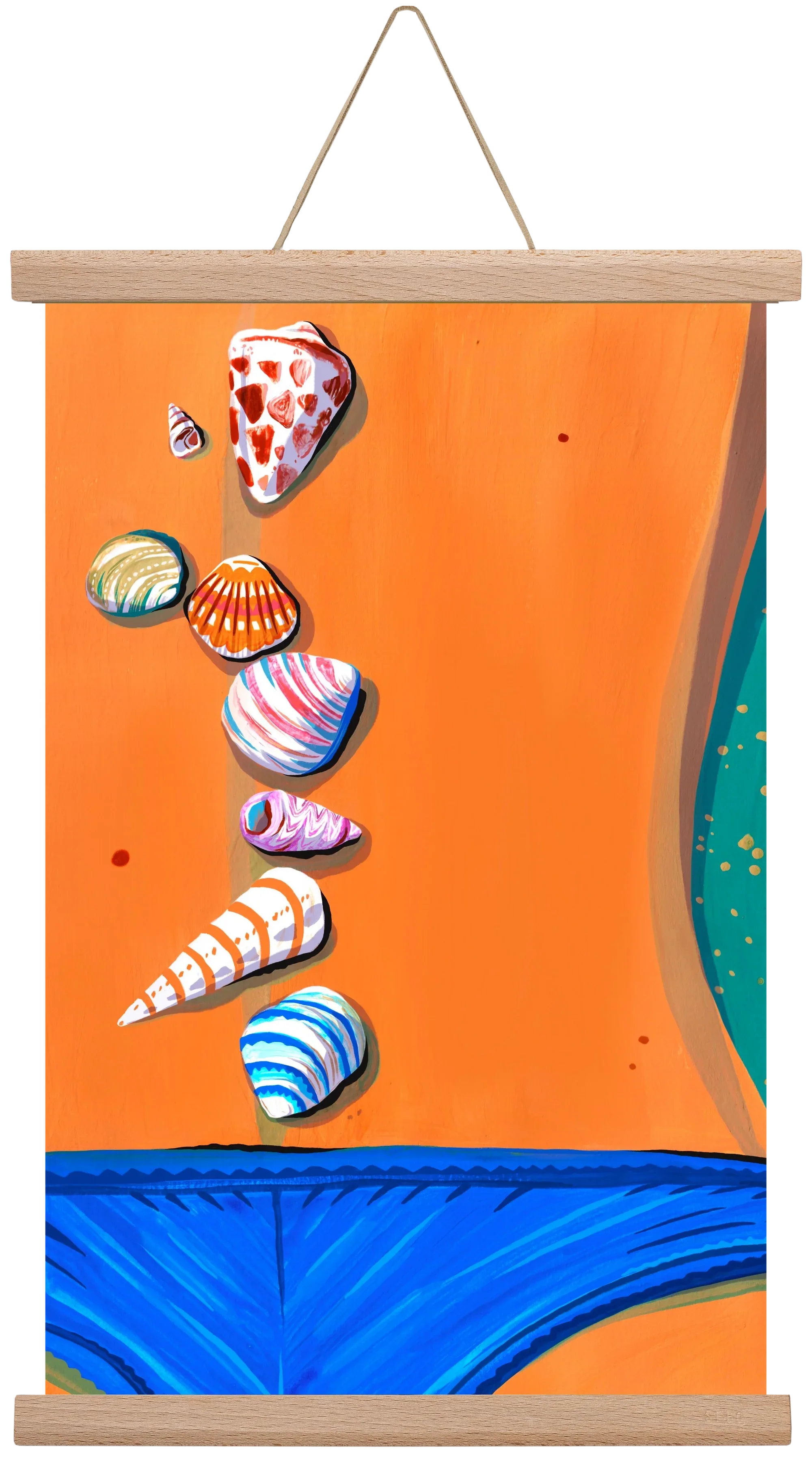 Shells - artbridge