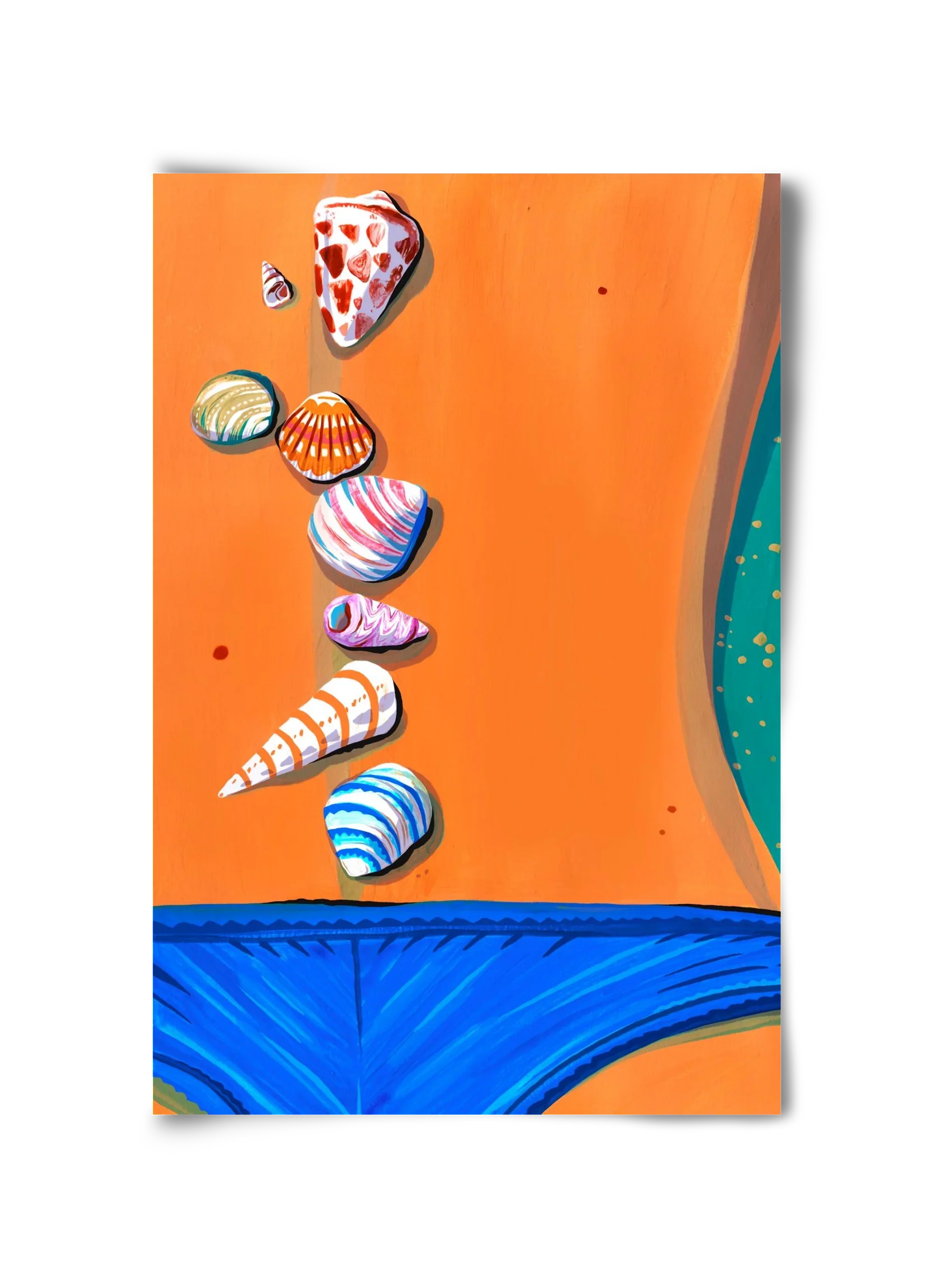 Shells - artbridge
