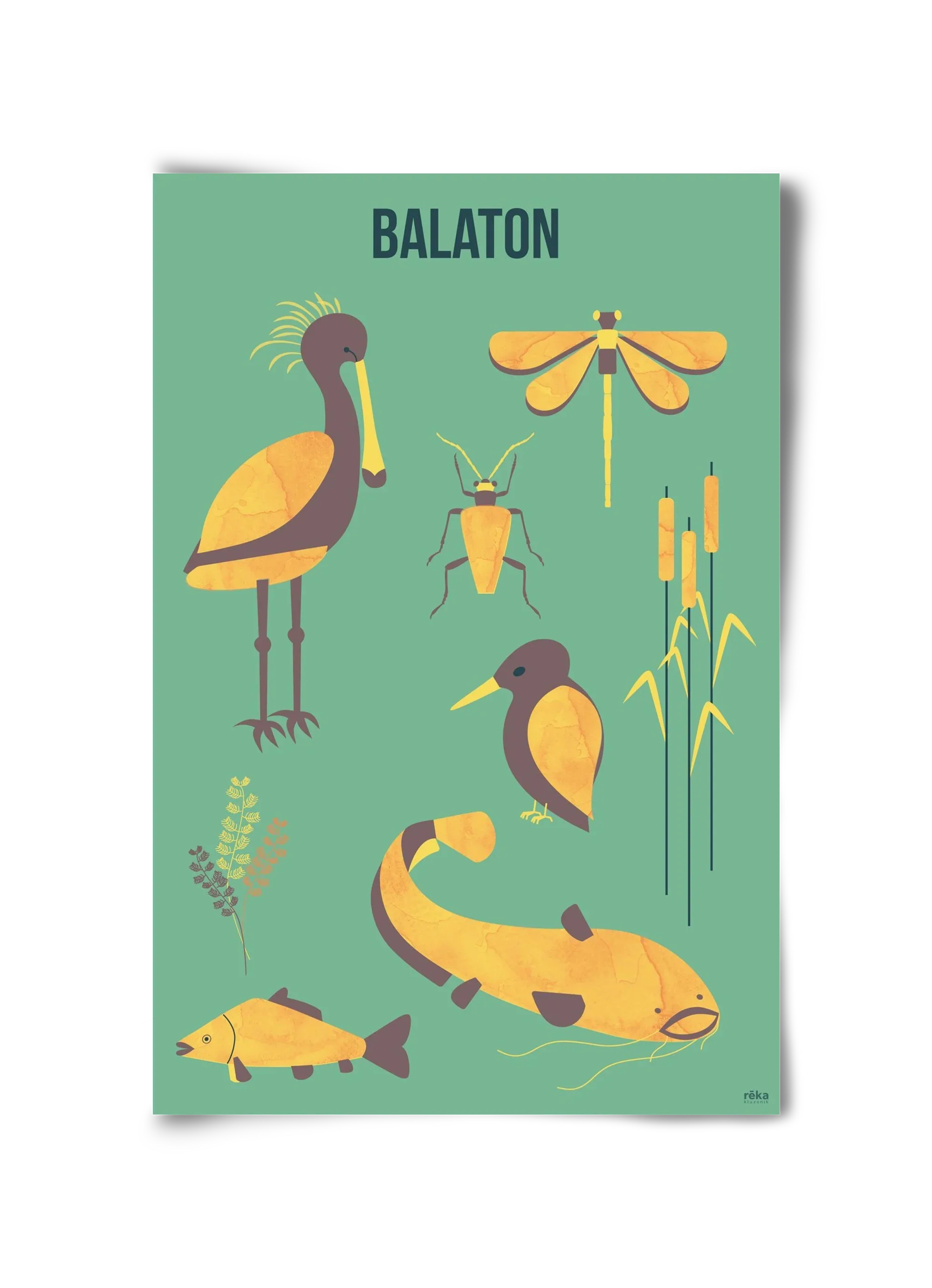 balaton - artbridge