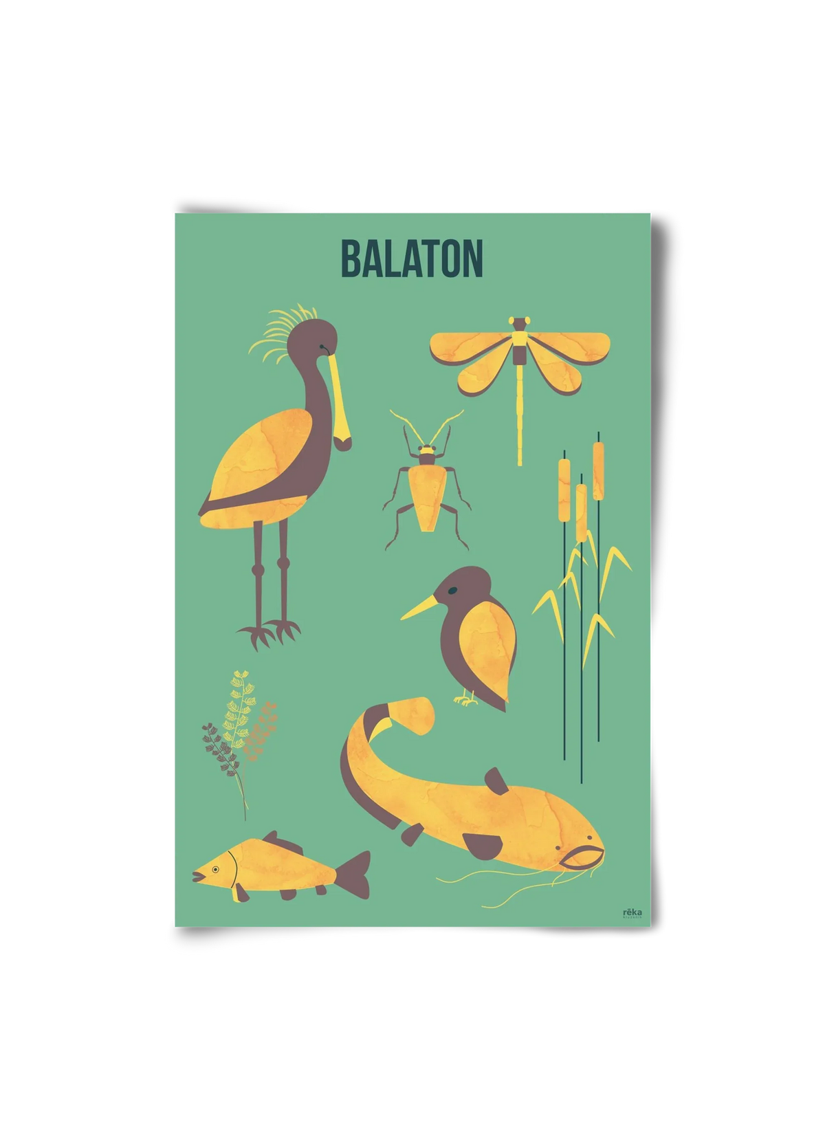balaton - artbridge