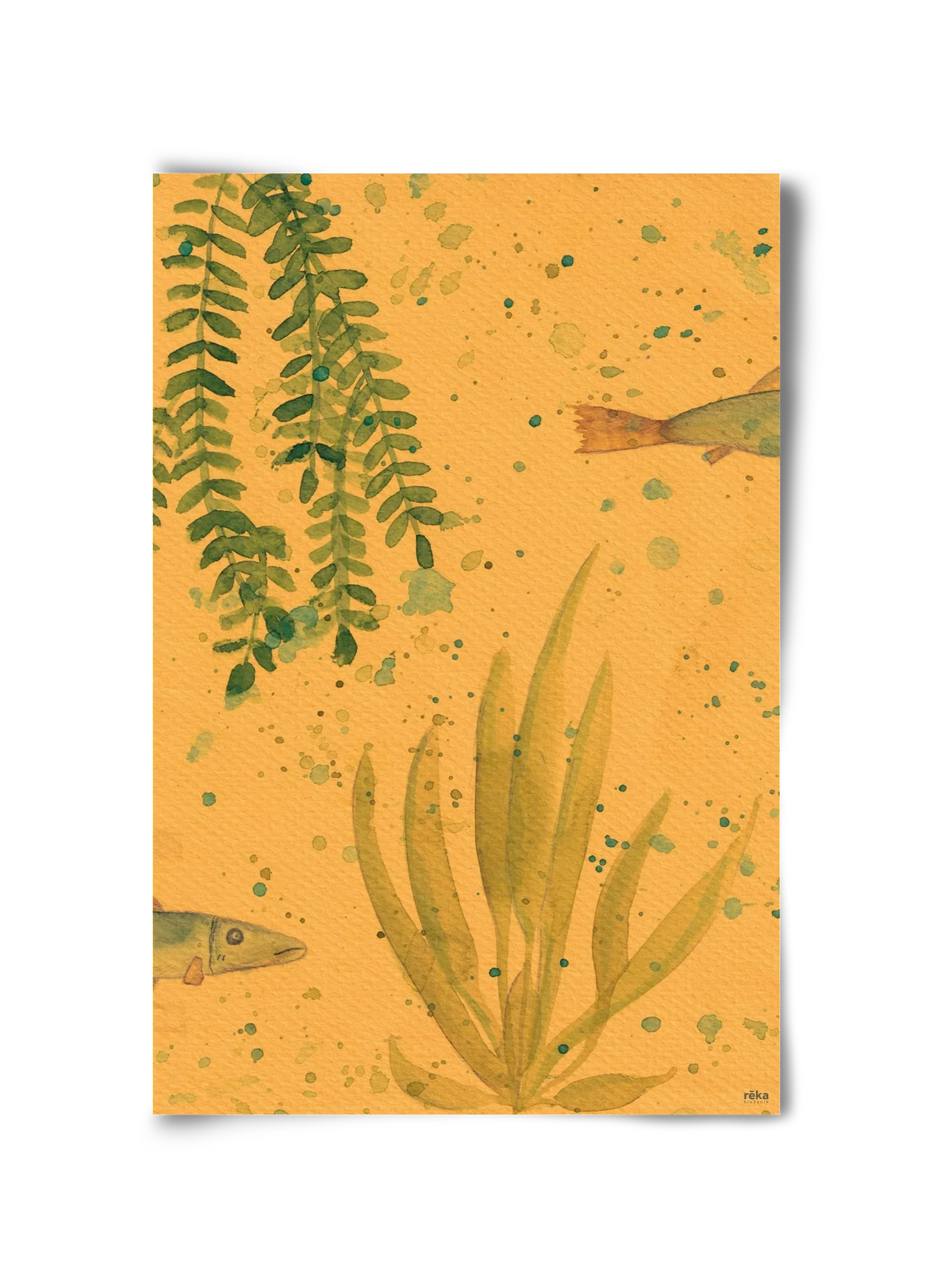 long fish - artbridge