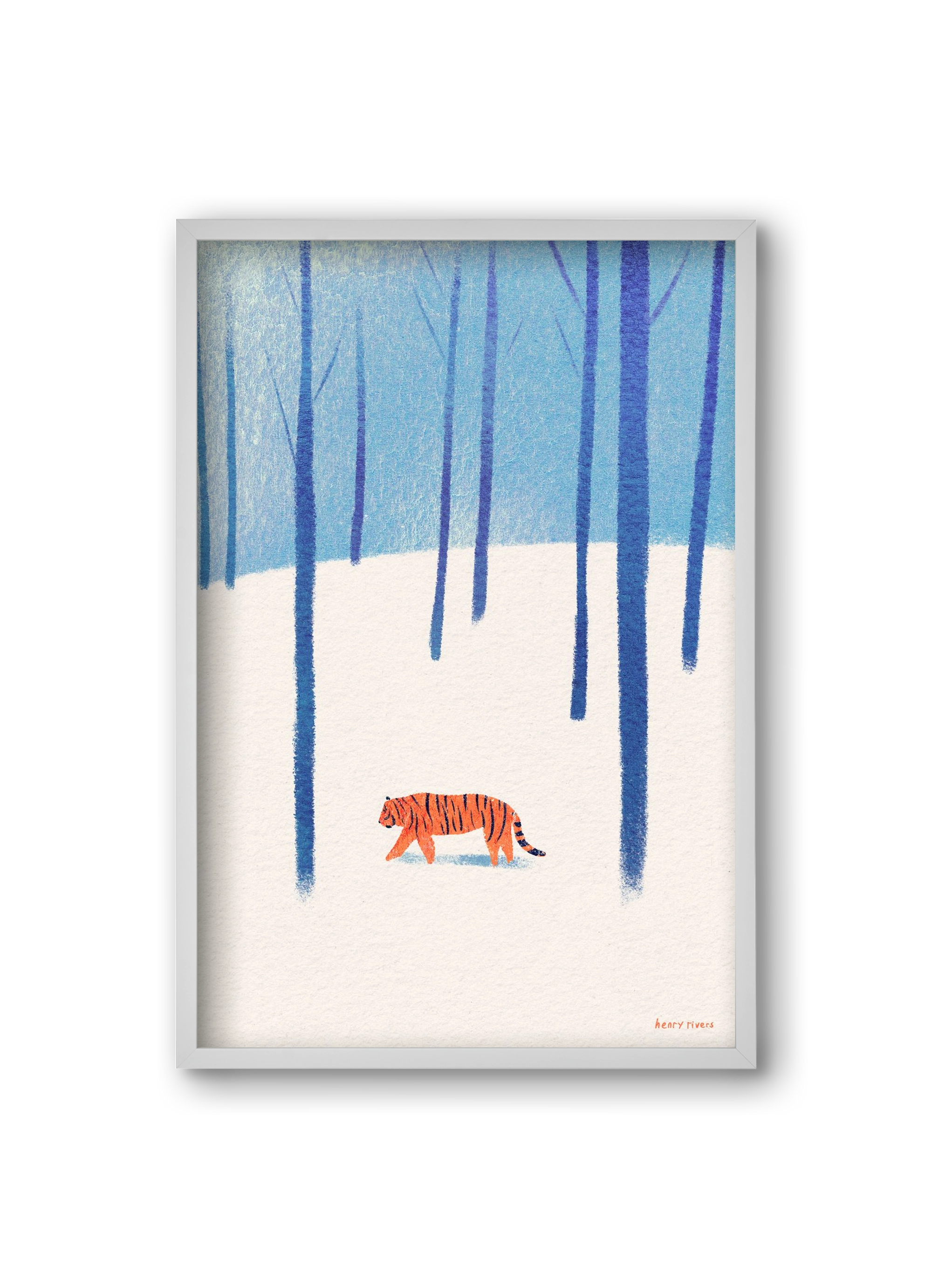 Tiger in the snow, 20x30 cm (20x30 cm), Fehér keret