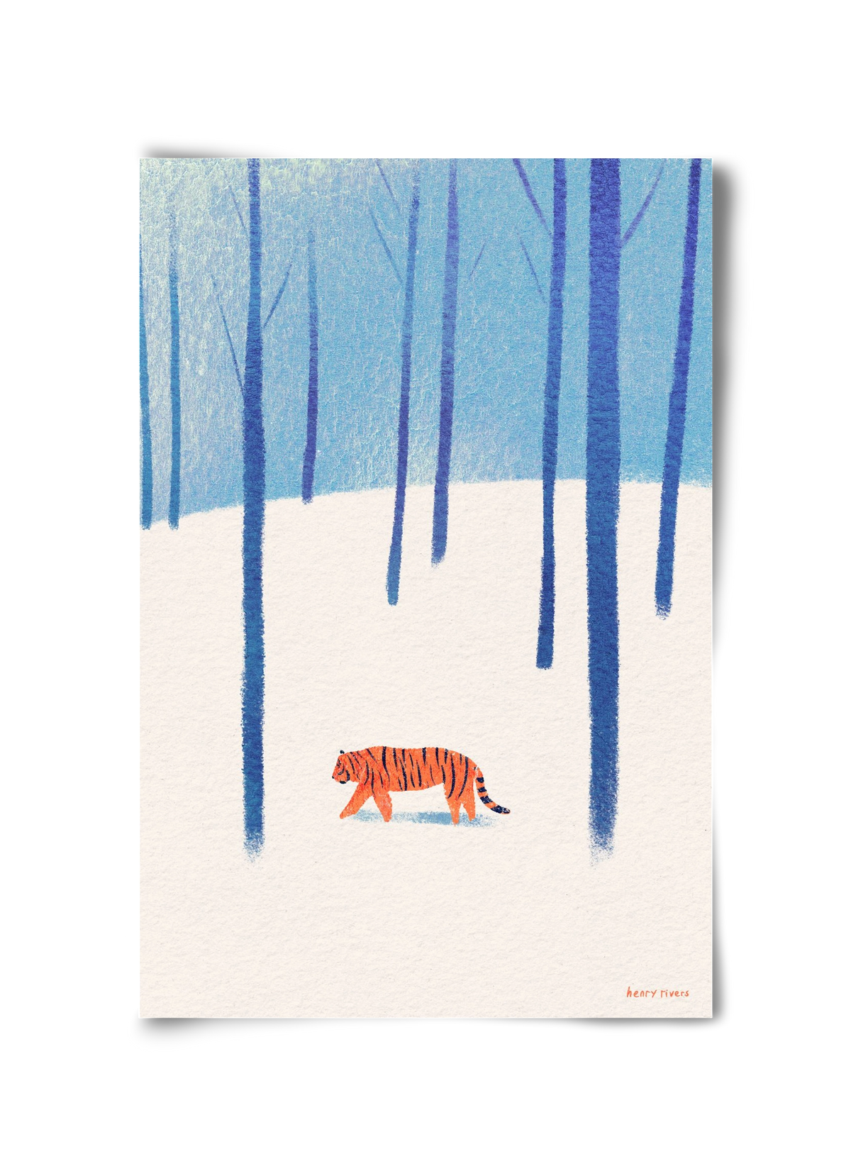 Tiger in the snow, 30x45 cm, Keret nélkül