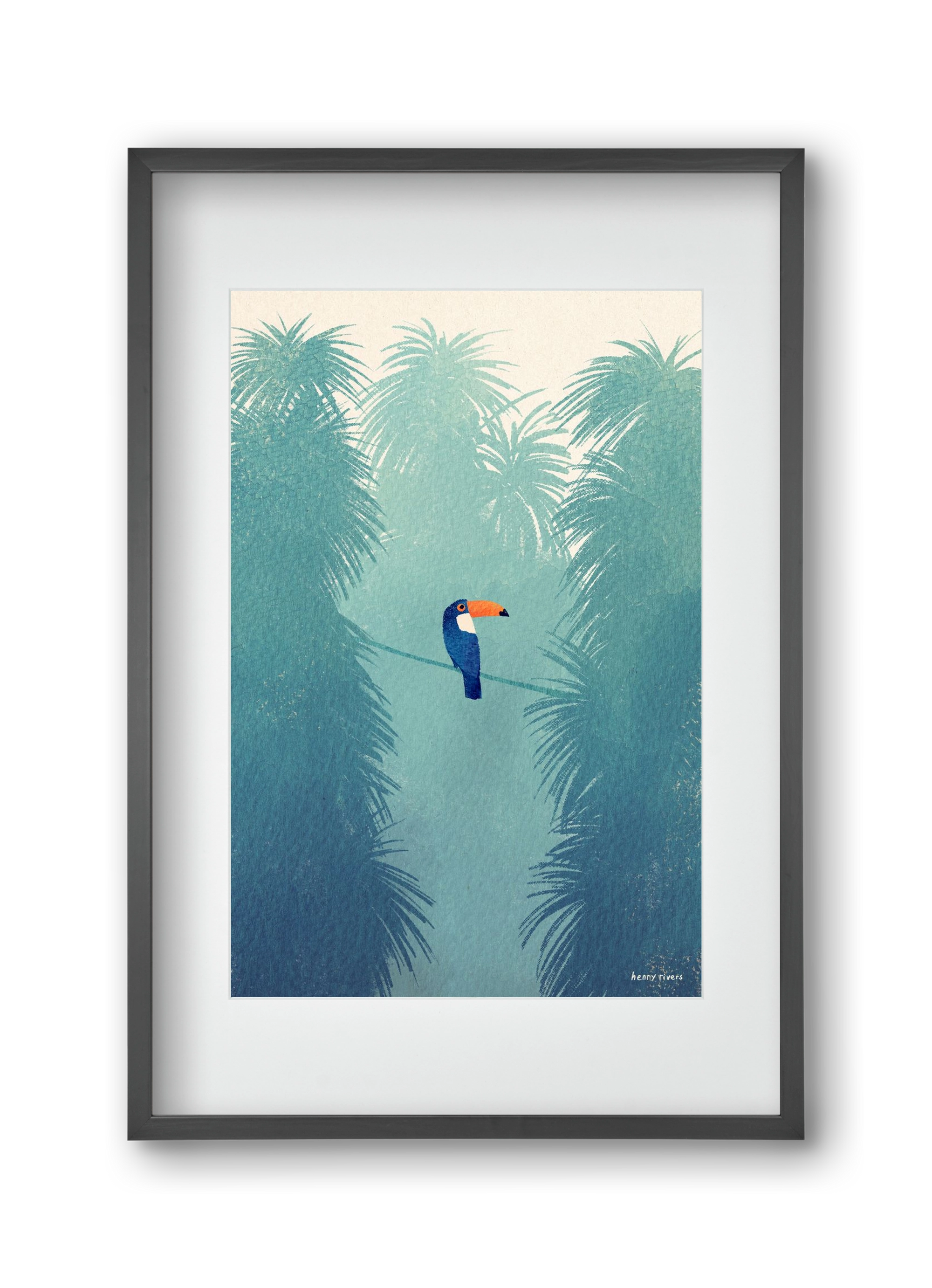 Toucan, 30x45 cm (20x30 cm), Fekete keret, paszpartuval