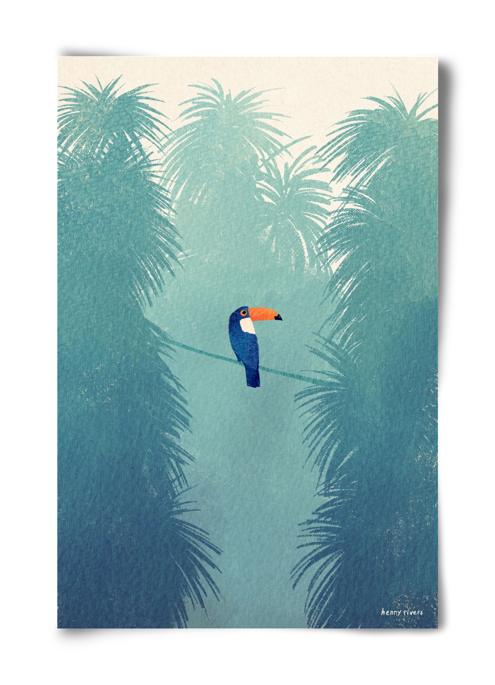 Toucan, 40x60 cm, Keret nélkül