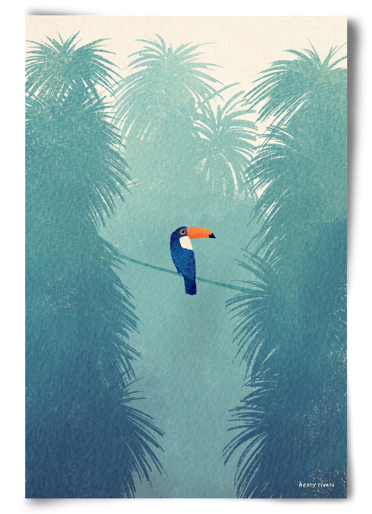 Toucan, 60x90 cm, Keret nélkül