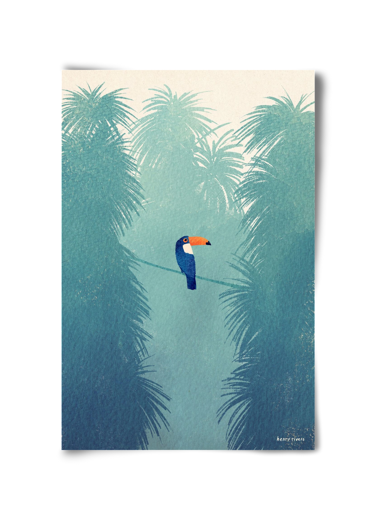 Toucan, 30x45 cm, Keret nélkül
