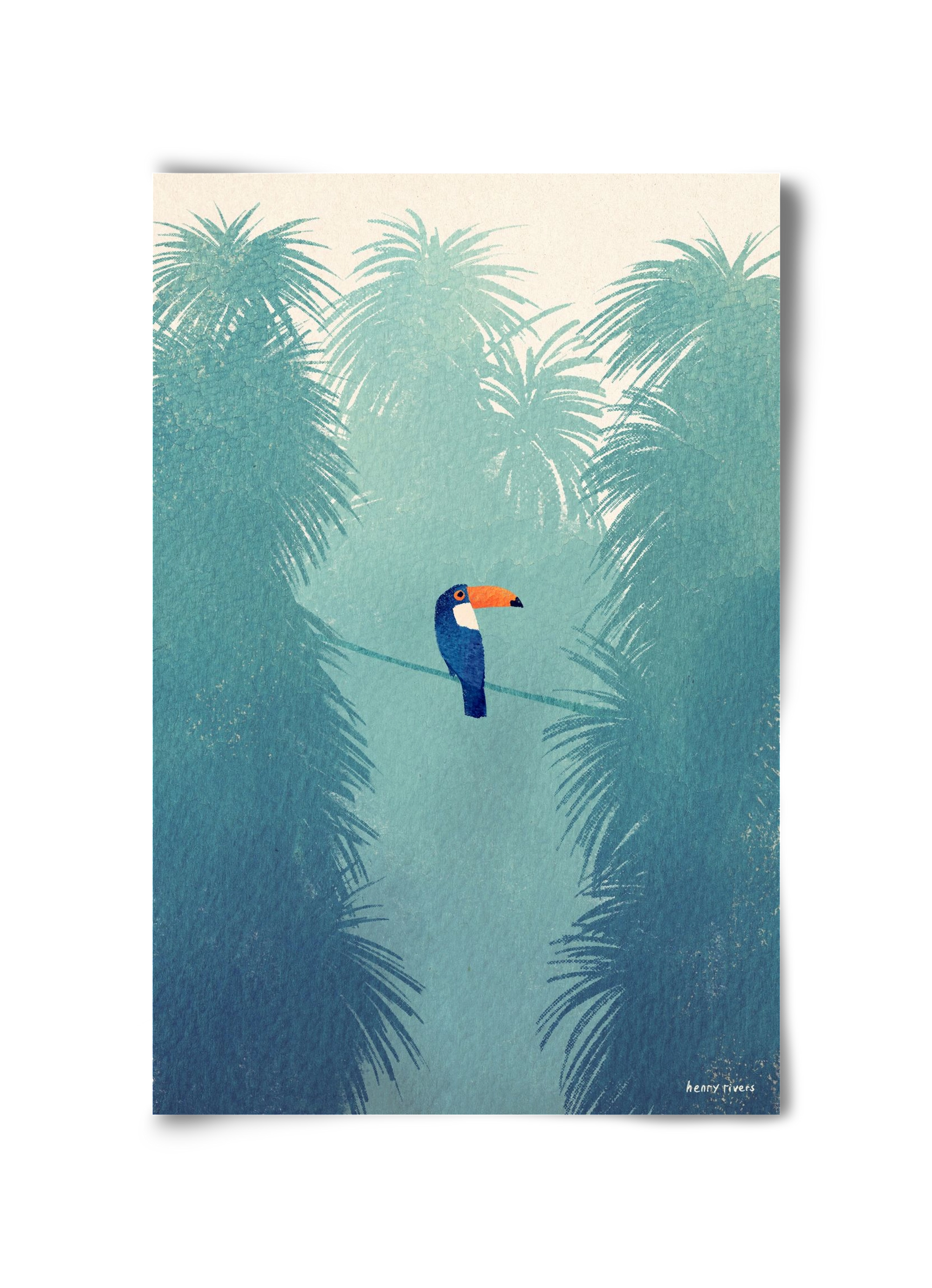 Toucan, 30x45 cm, Keret nélkül